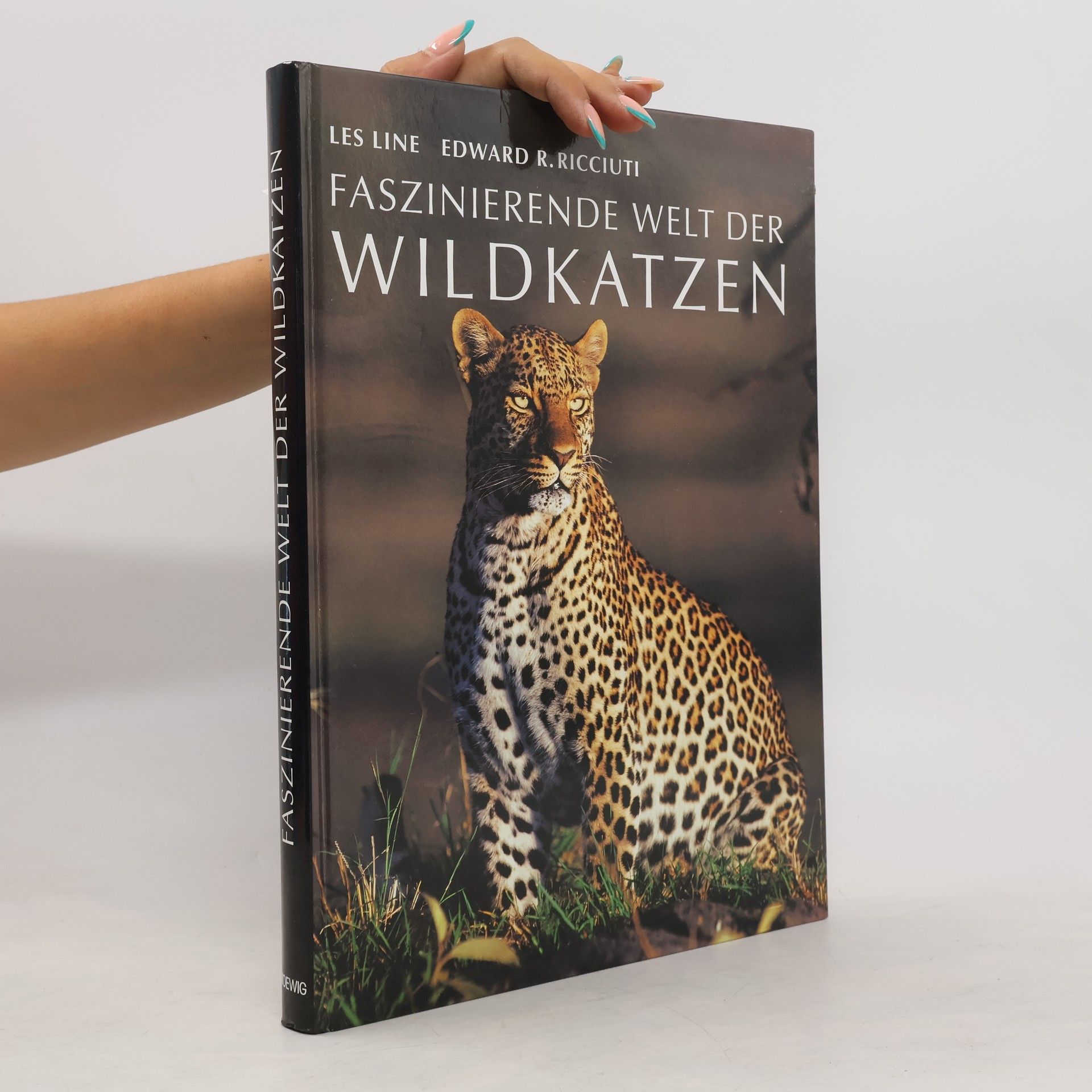 Les Line Faszinierende Welt der Wildkatzen