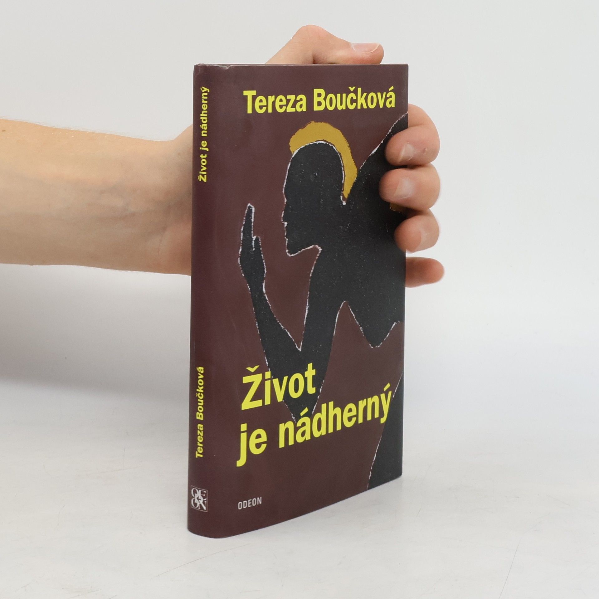 Tereza Boučková Život je nádherný