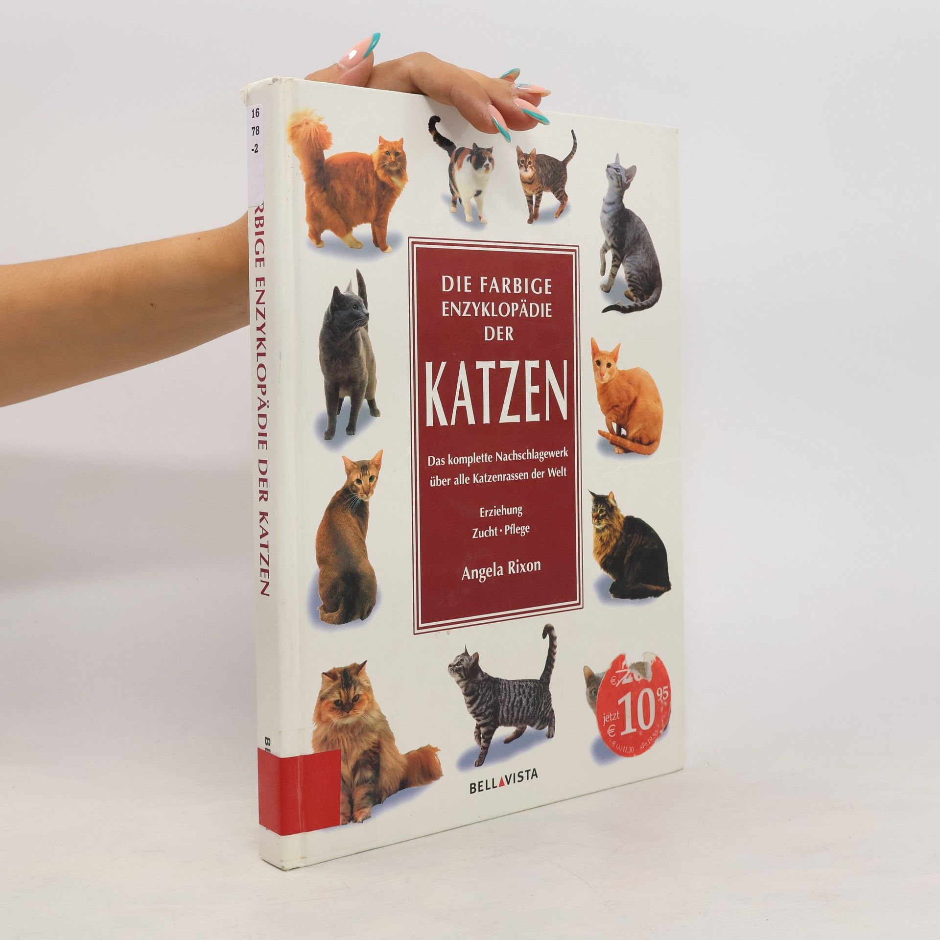 Angela Rixon Die farbige Enzyklopadie der Katzen