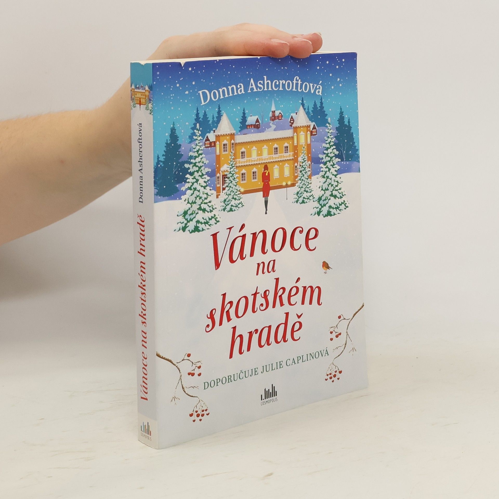 Donna Ashcroft Vánoce na skotském hradě