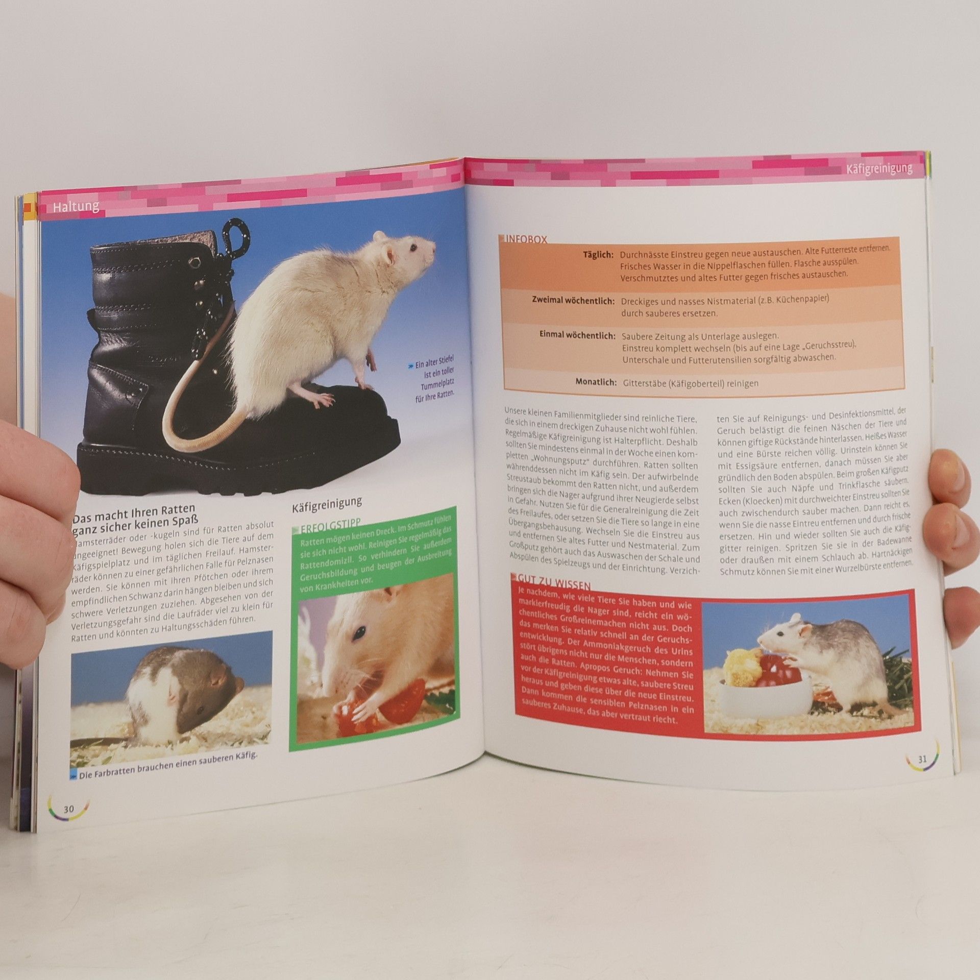 Petra Dietz Meine Ratte zu Hause