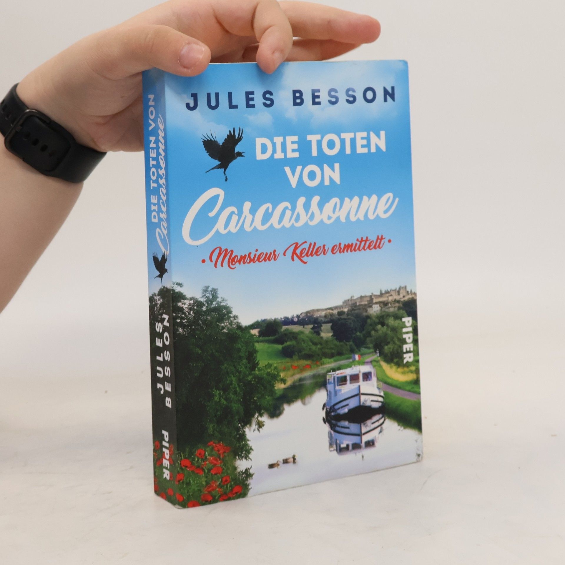 Jules Besson Die Toten von Carcassonne