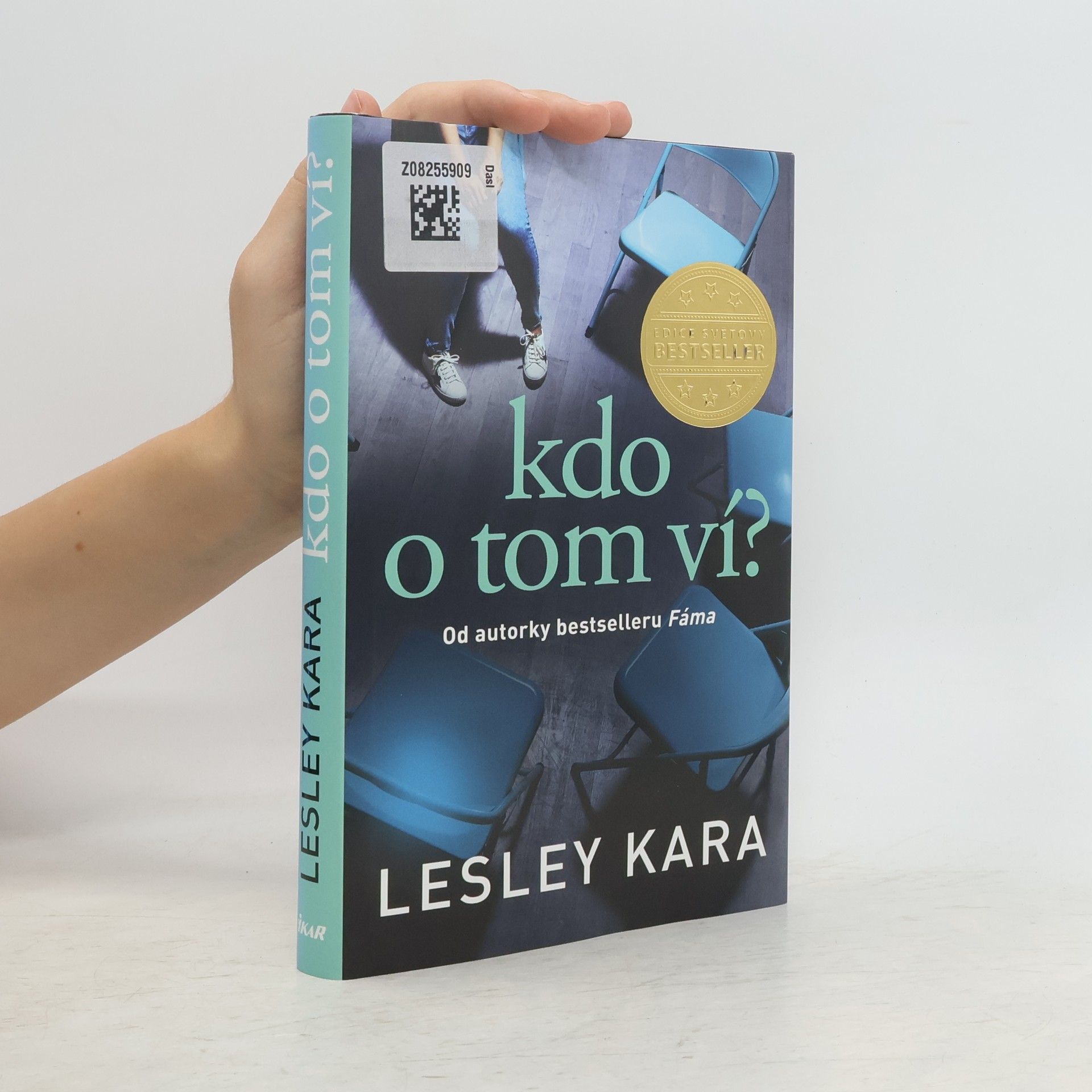 Lesley Kara Kdo o tom ví?