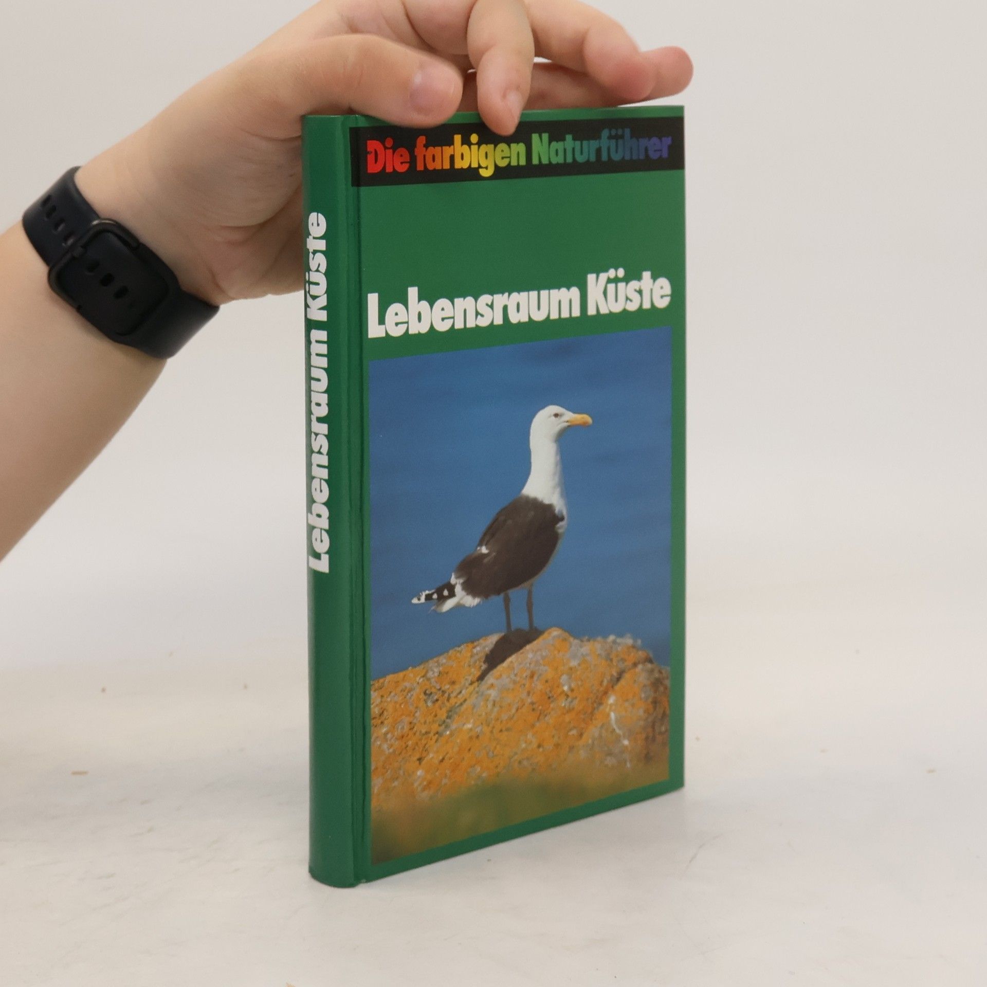Collectif d'auteurs Lebensraum Küste