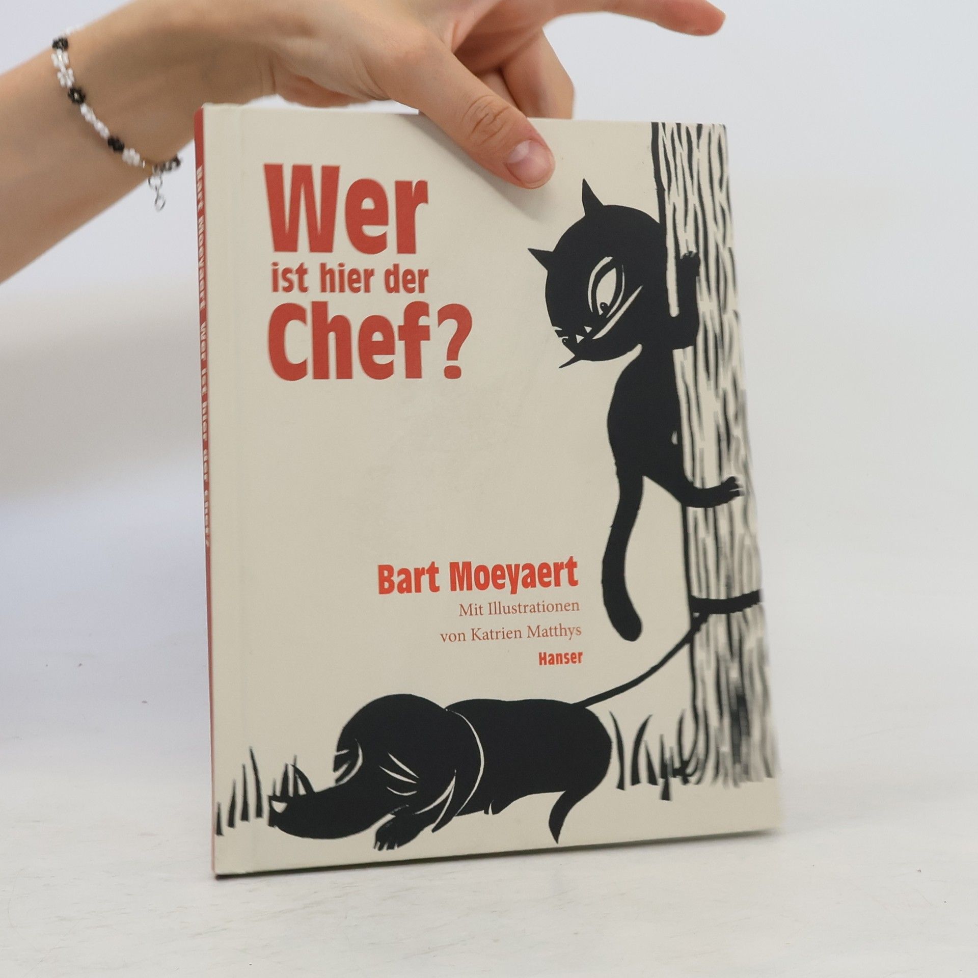 Bart Moeyaert Wer ist hier der Chef?