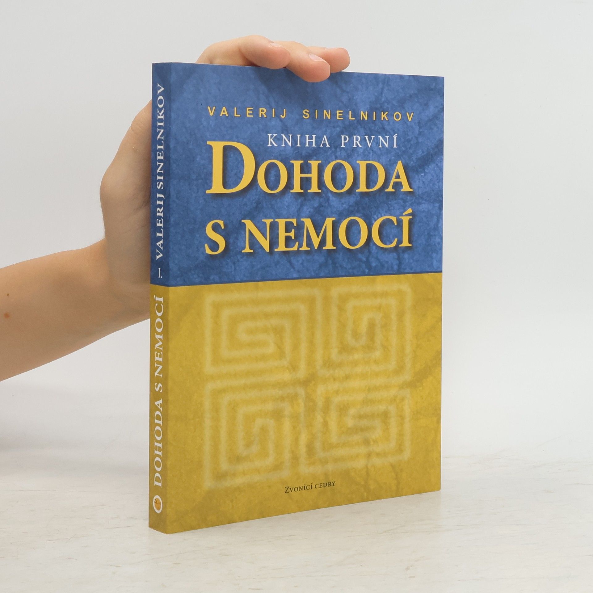 Valerij Vladimirovič Sinel‘nikov Dohoda s nemocí. Kniha první