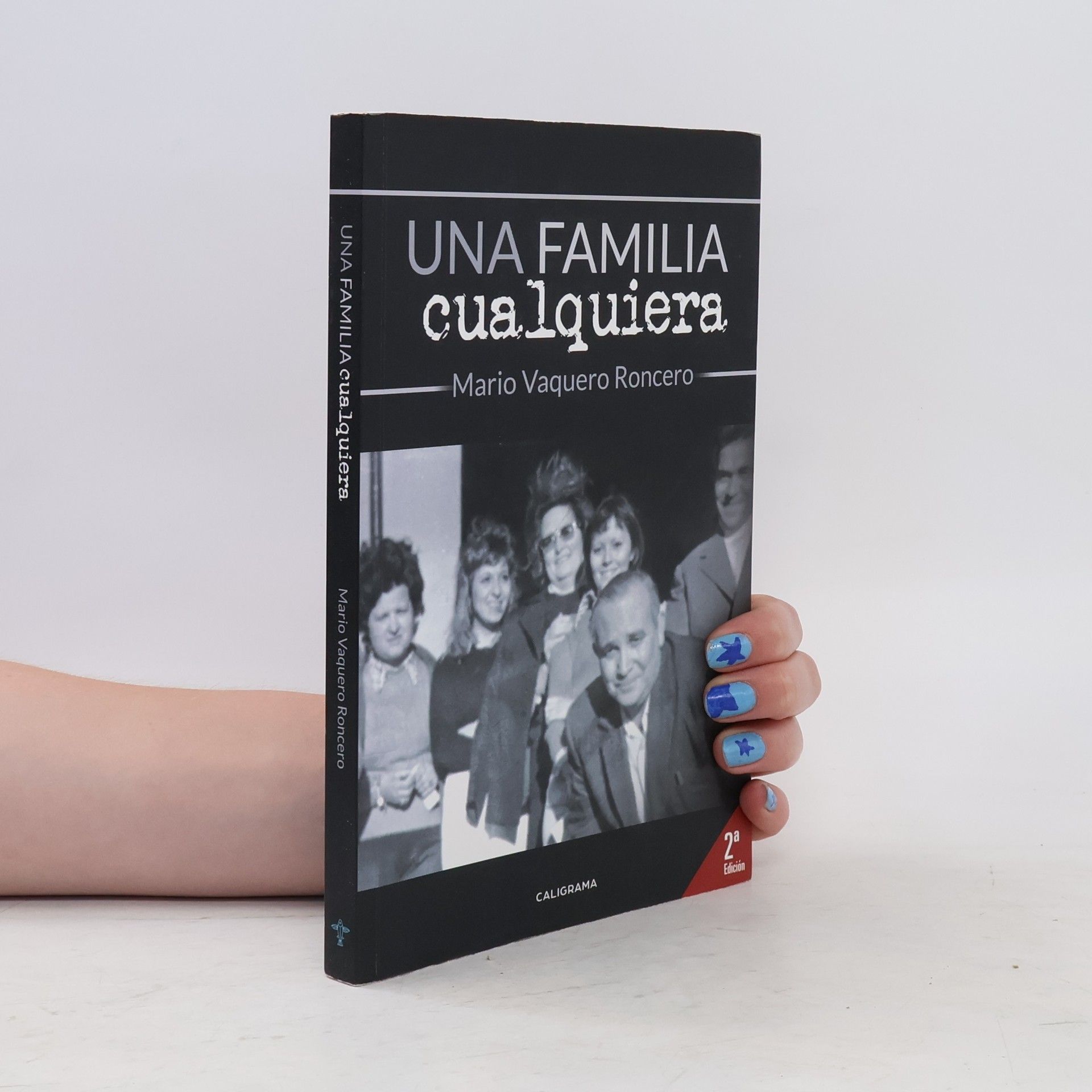Mario Vaquero Roncero  Una familia cualquiera