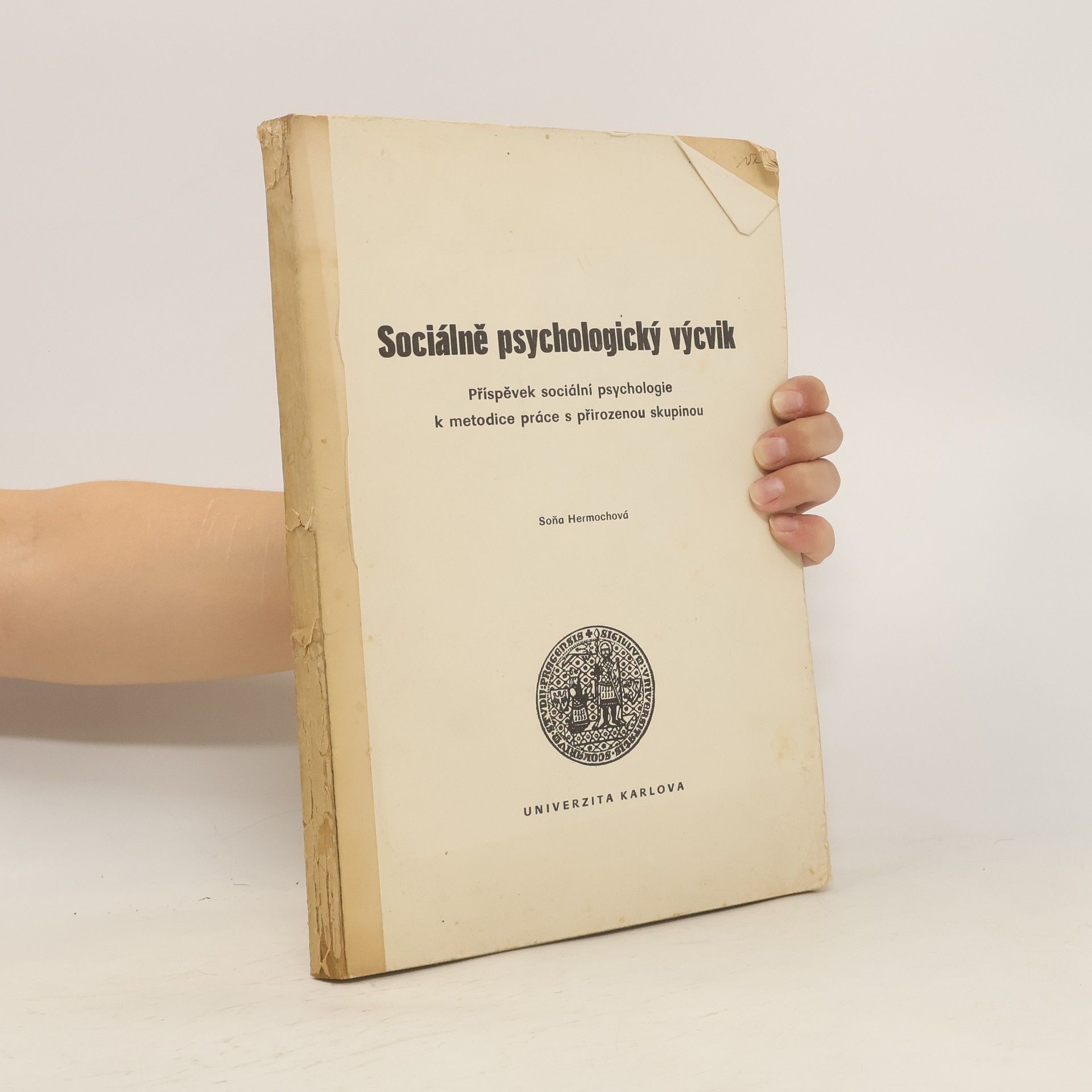 Soňa Hermochová Sociálně psychologický výcvik