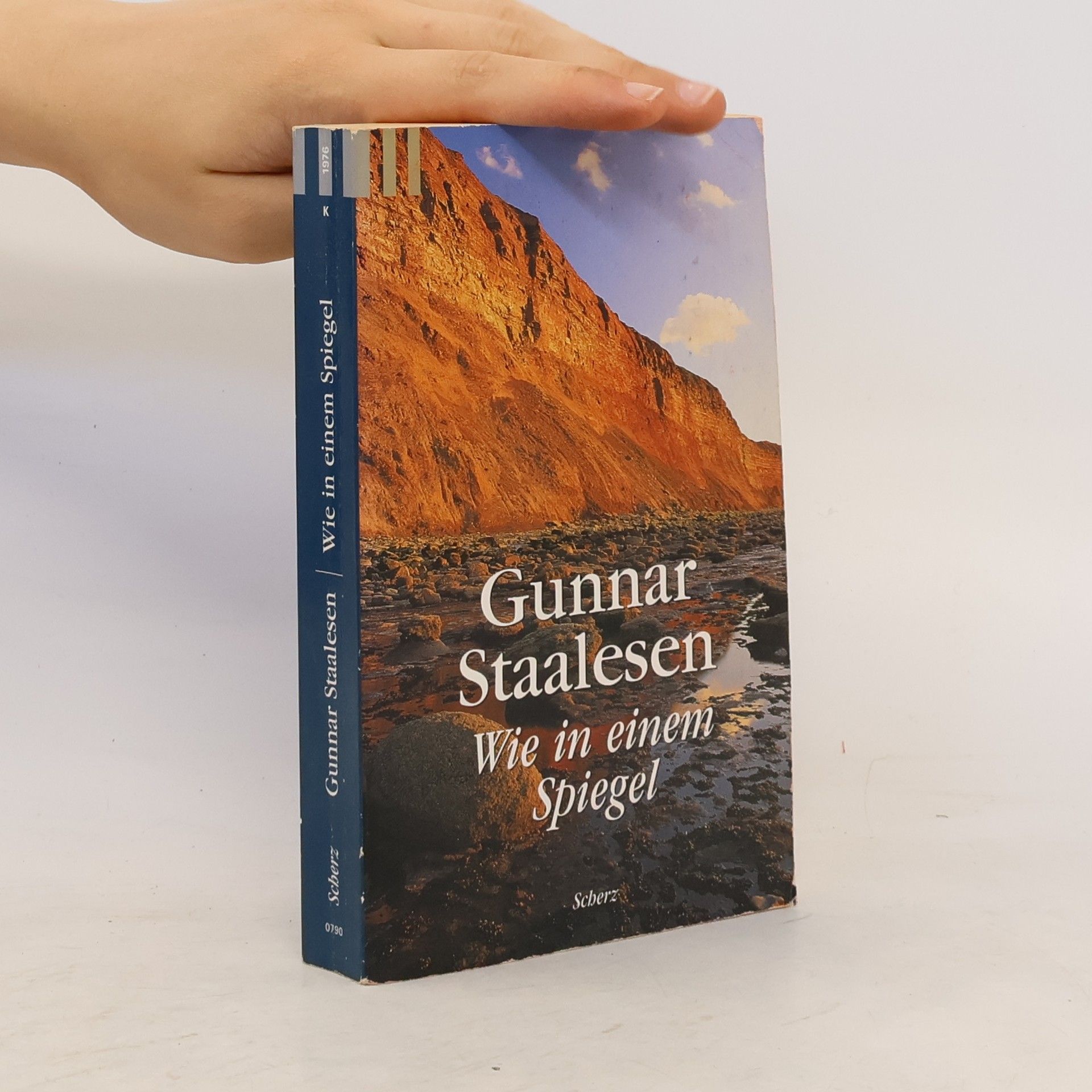 Gunnar Staalesen Wie in einem Spiegel