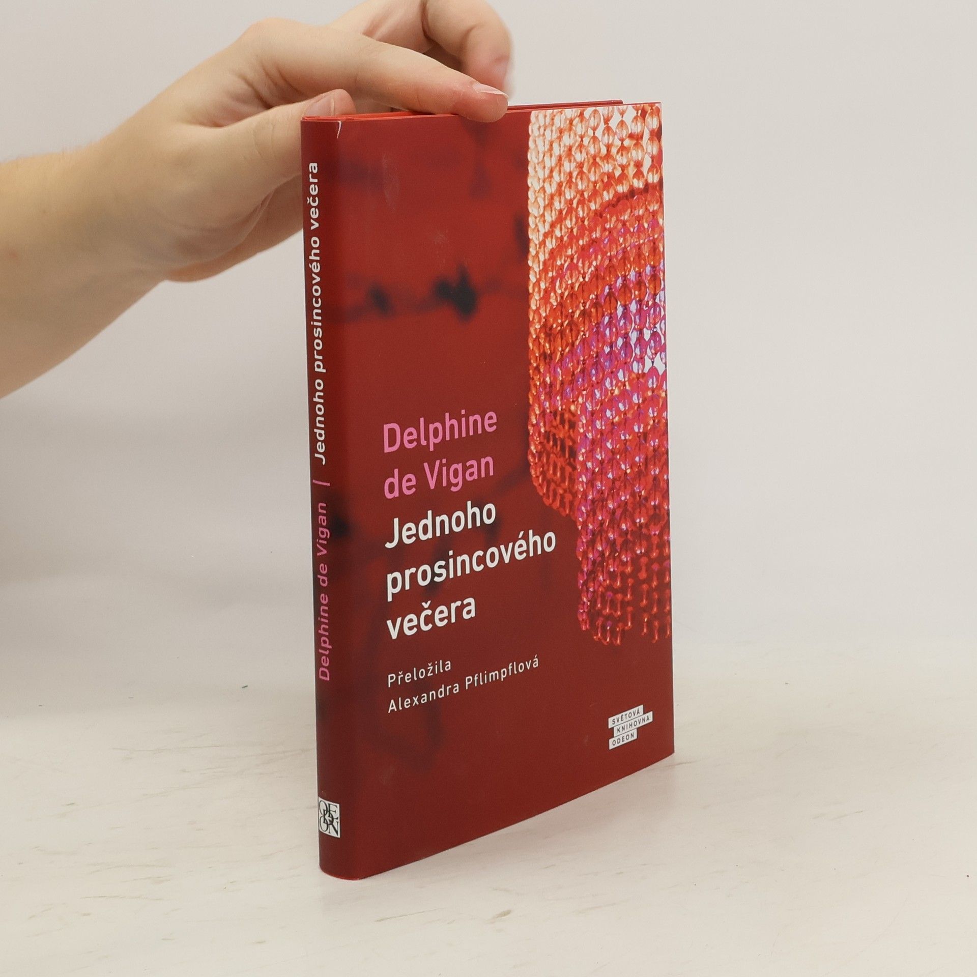 Delphine de Vigan Jednoho prosincového večera
