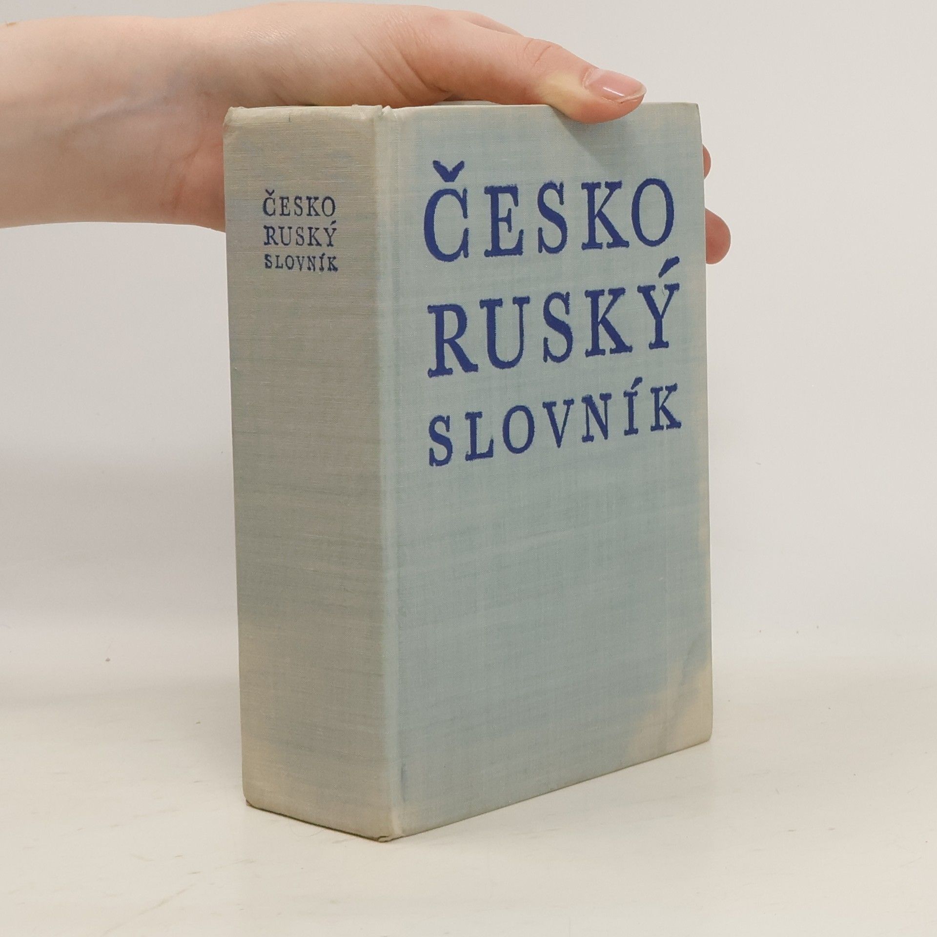 Kolektiv autorů Česko-ruský slovník