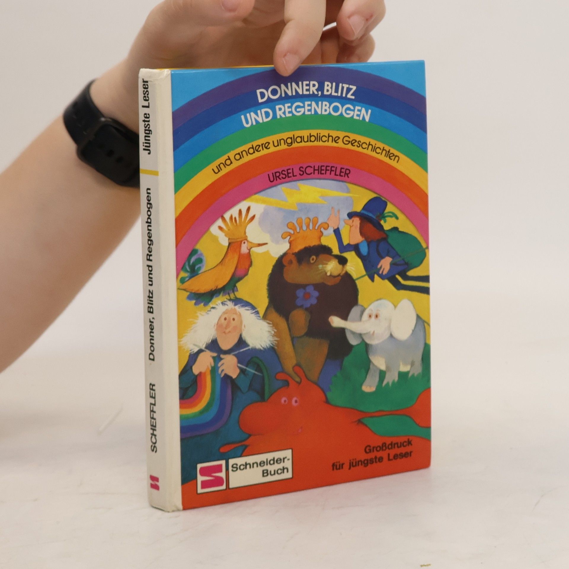 Ursel Scheffler Donner, Blitz und Regenbogen und andere unglaubliche Geschichten