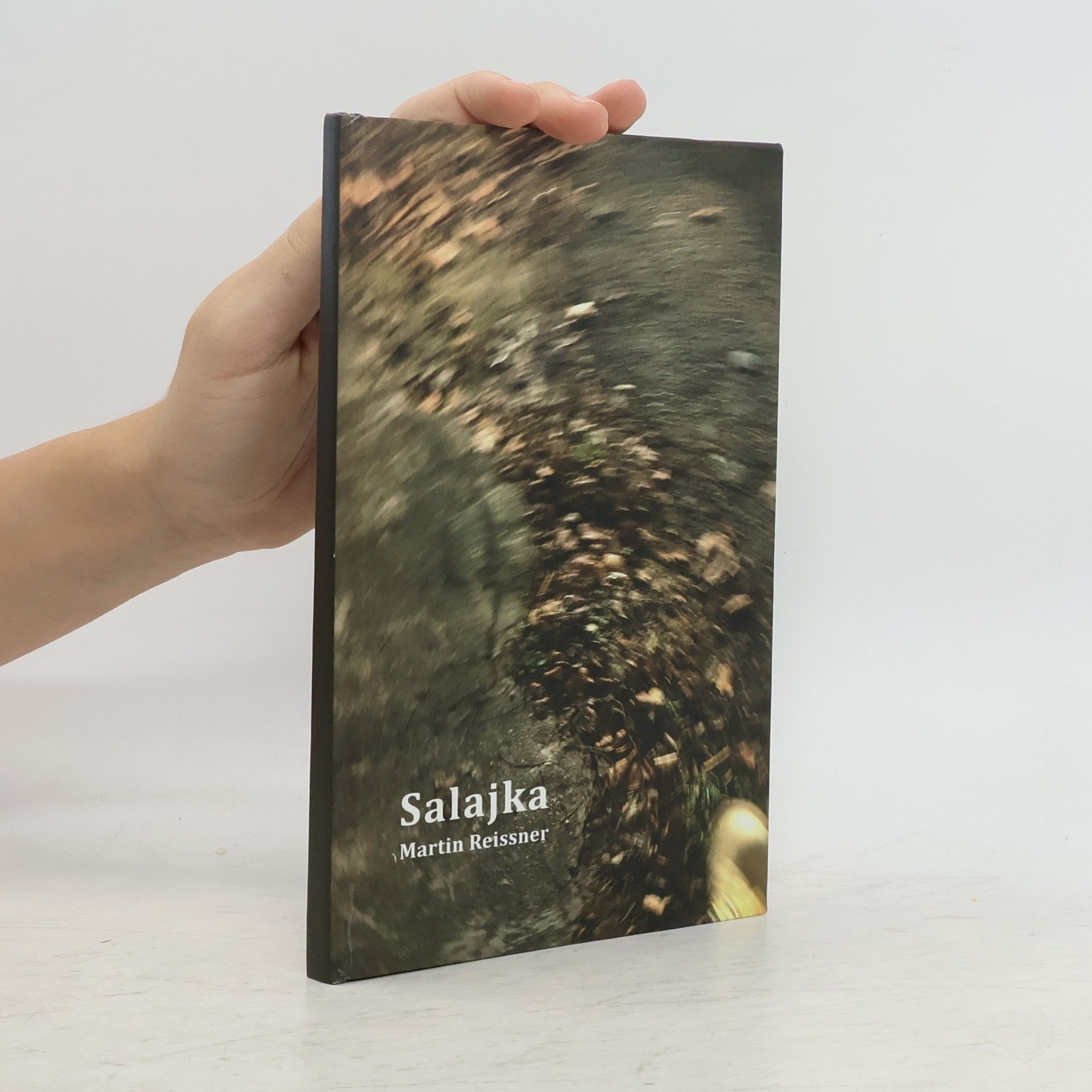 Martin Reissner Salajka