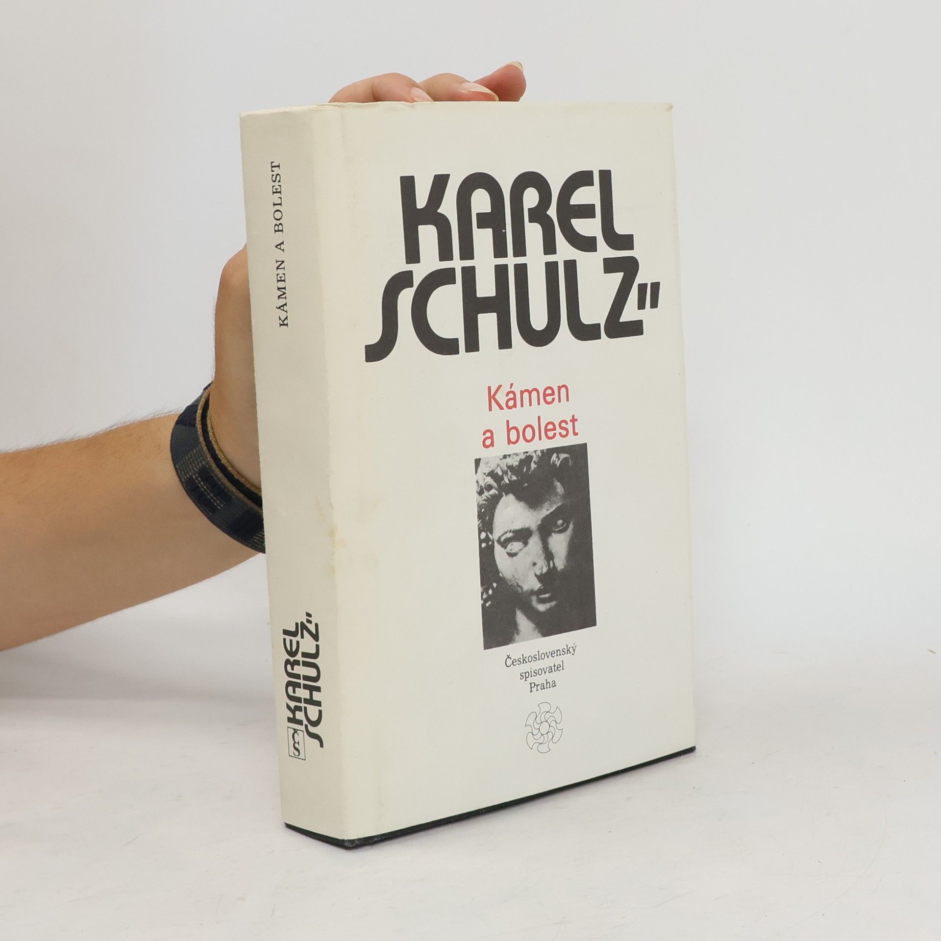 Karel Schulz Kámen a bolest