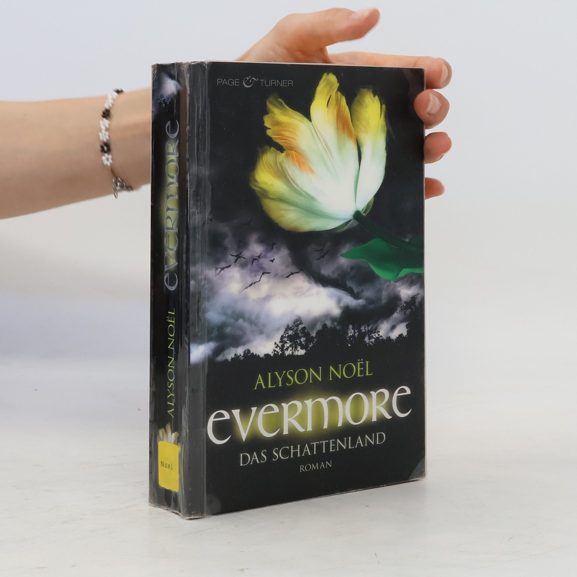 Alyson Noël Evermore: Das Schattenland