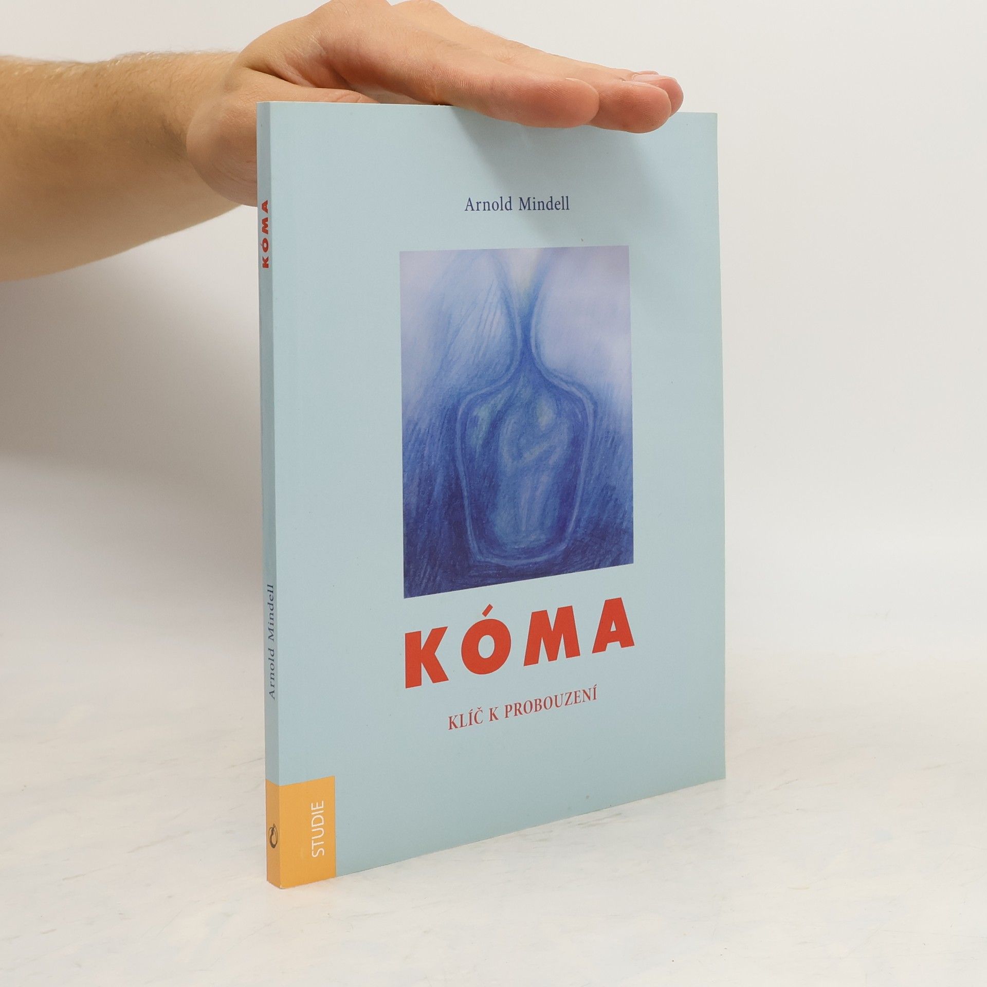 Arnold Mindell Kóma : klíč k probuzení