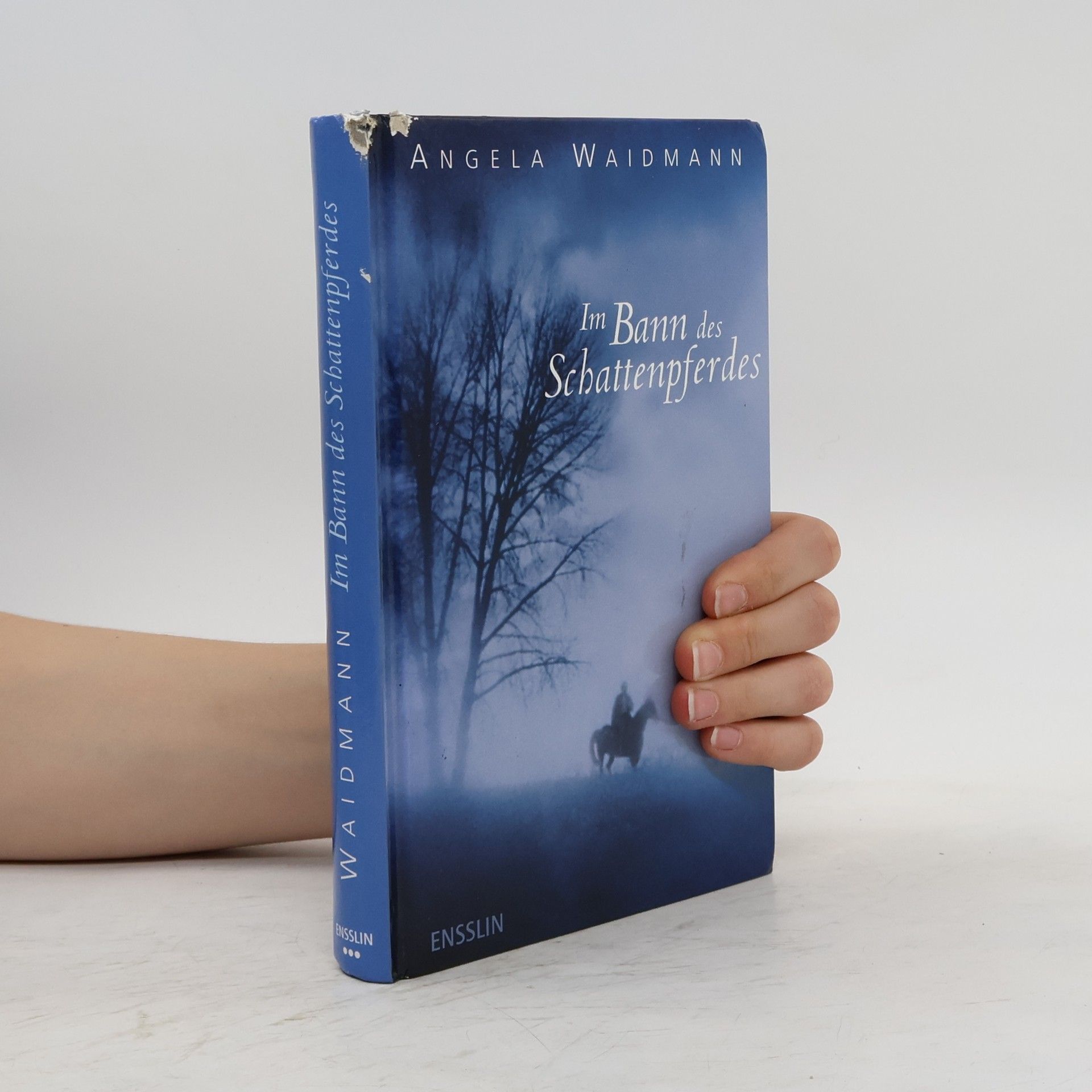 Angela Waidmann Im Bann des Schattenpferdes