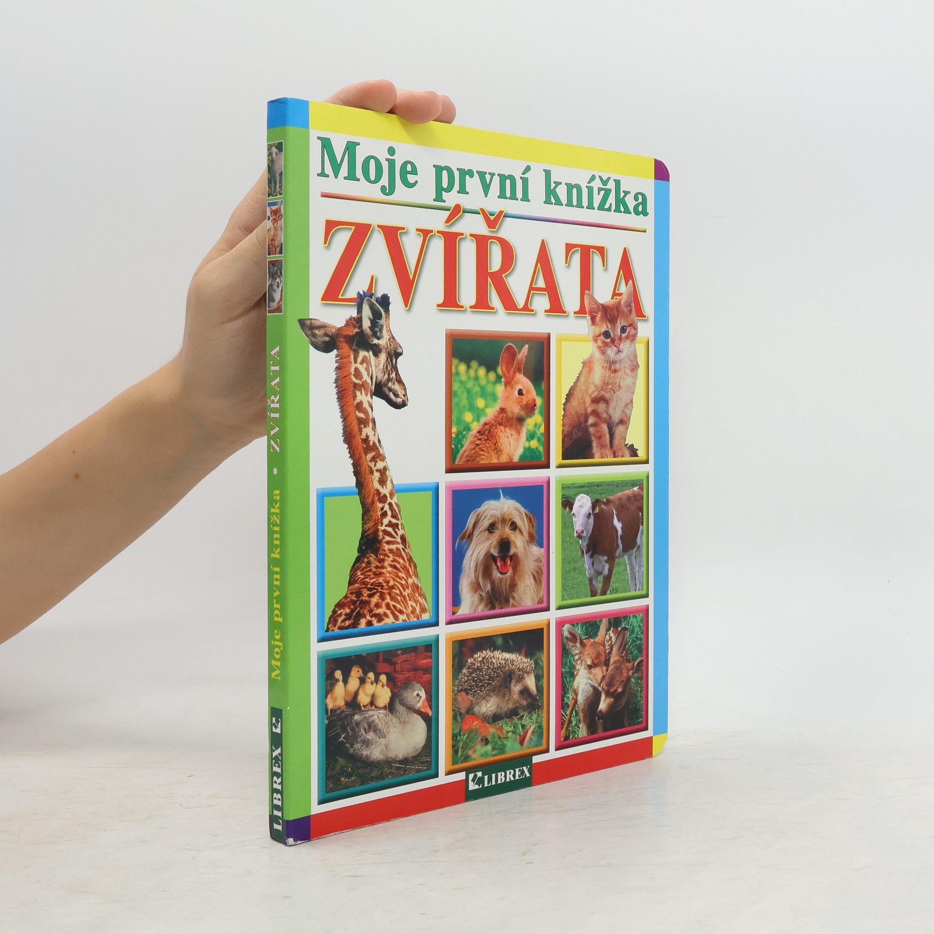 kolektiv Zvířata: Moje první knížka