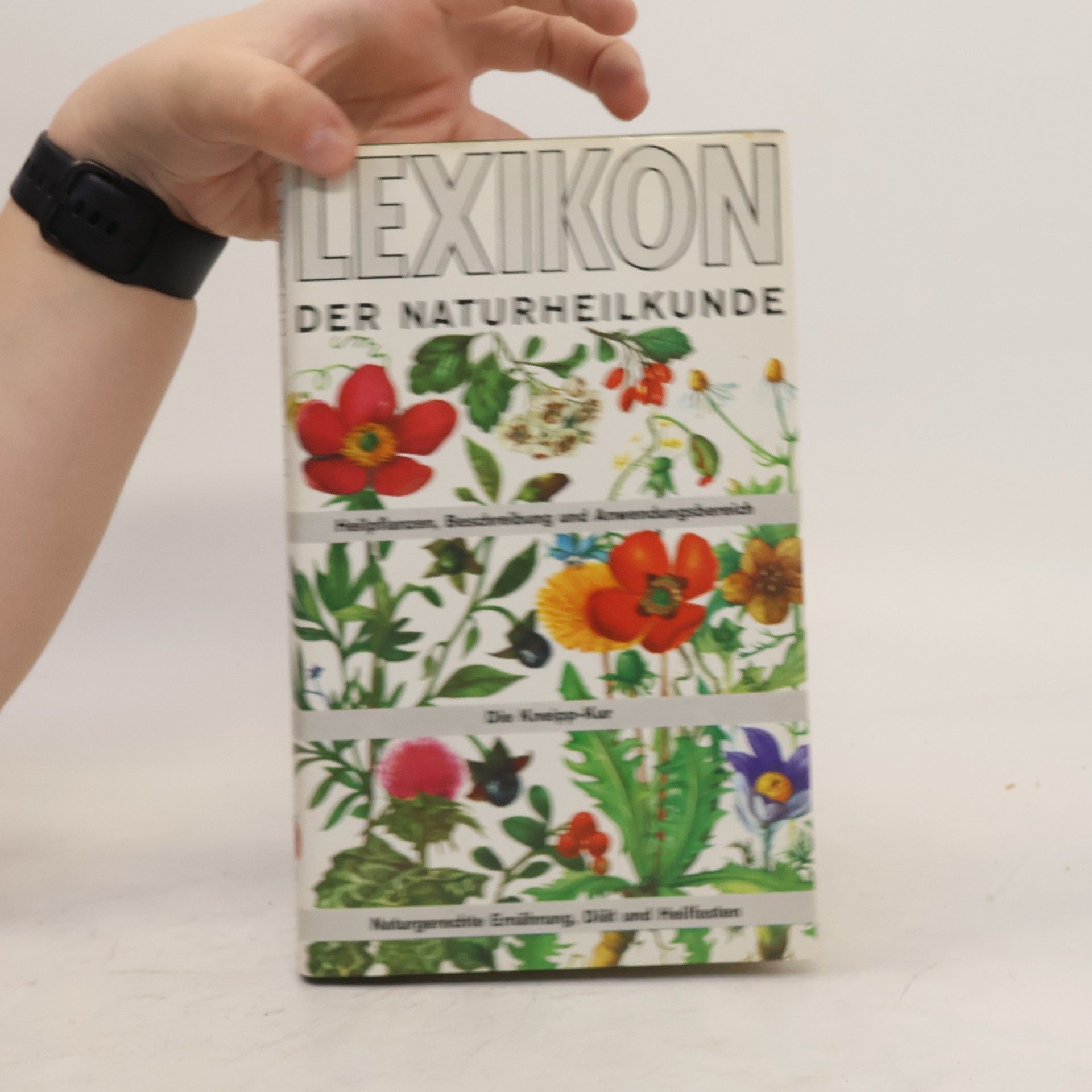Autorenkollektiv Lexikon der Naturheilkunde