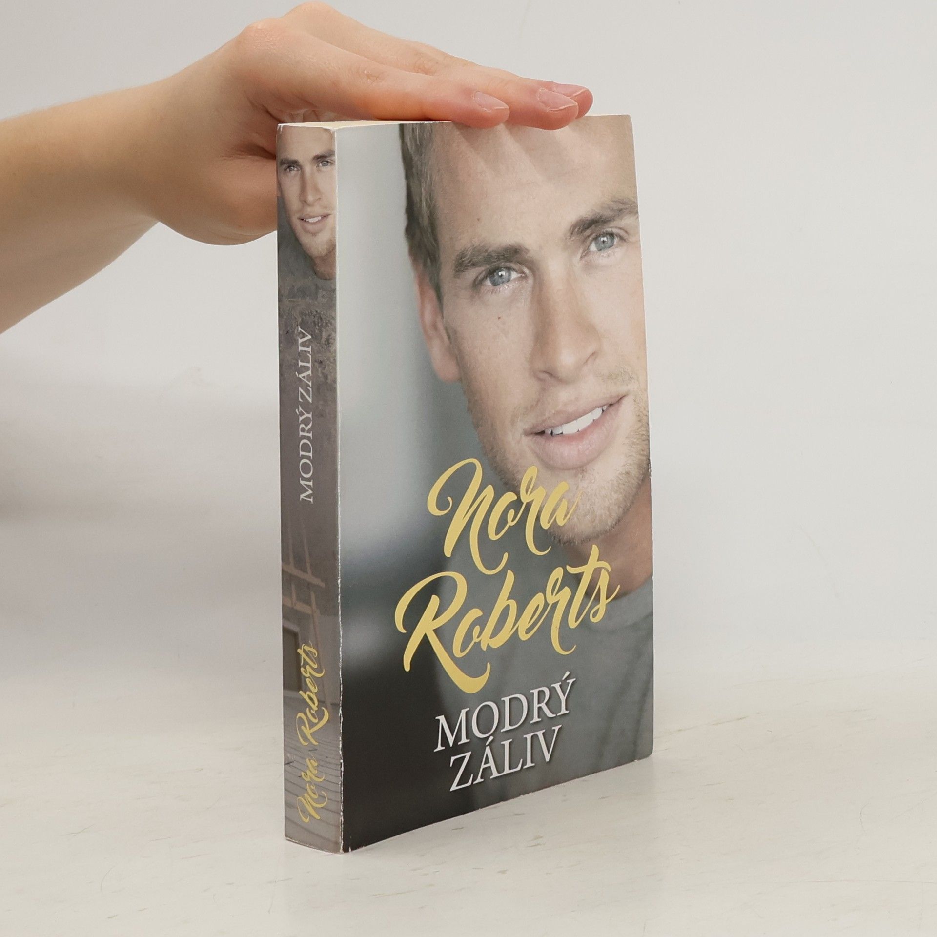 Nora Roberts Modrý záliv