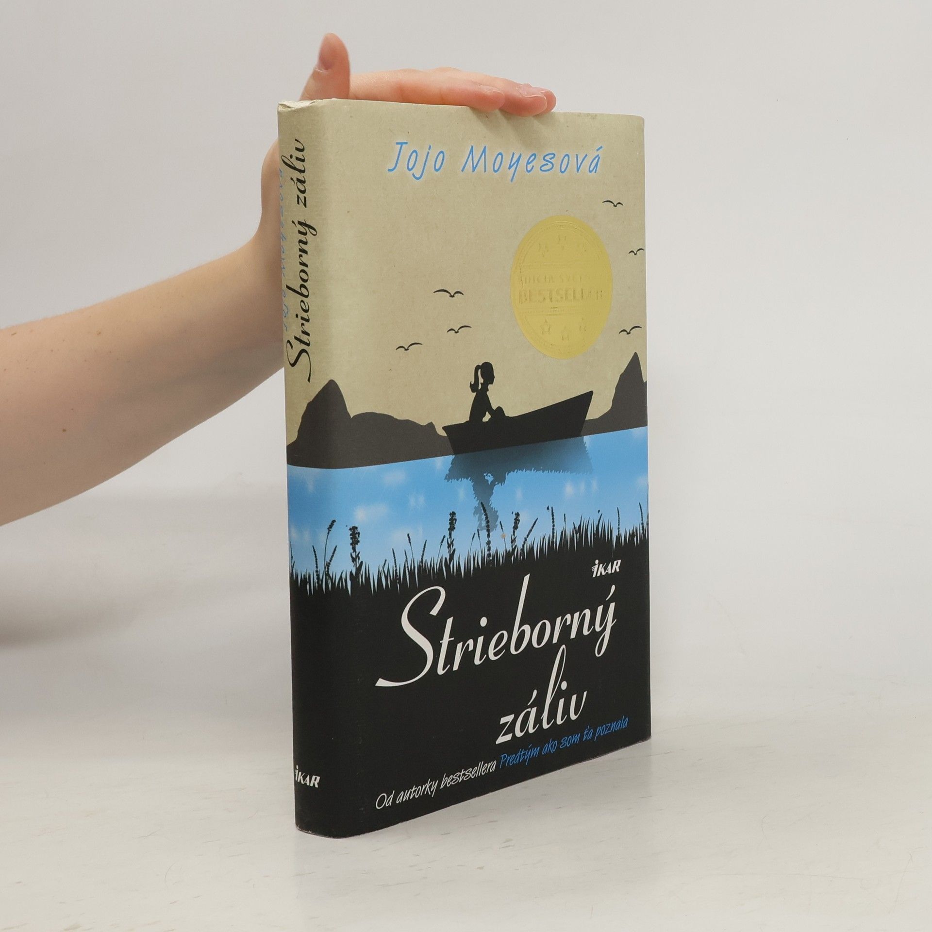 Jojo Moyes Strieborný záliv
