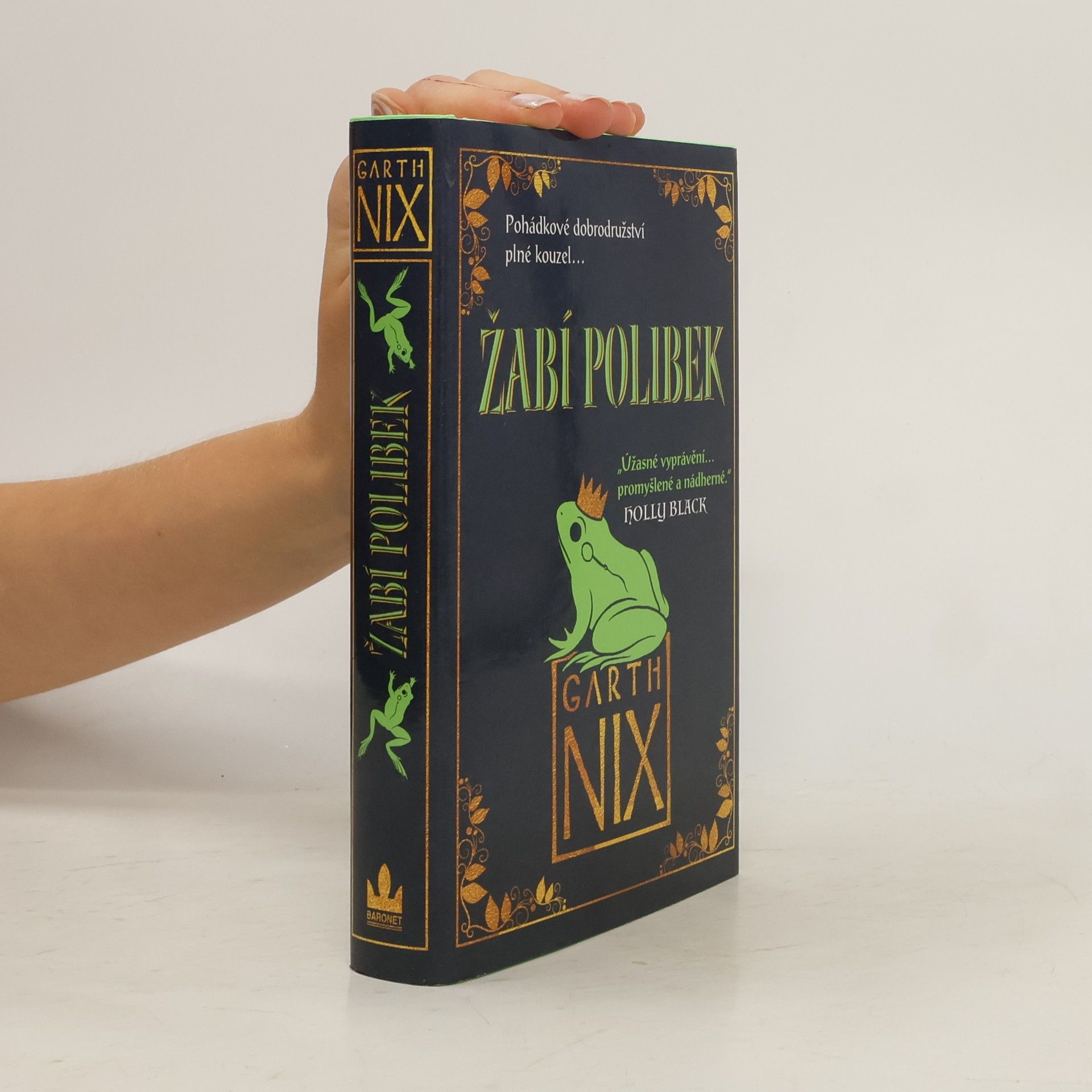 Garth Nix Žabí polibek