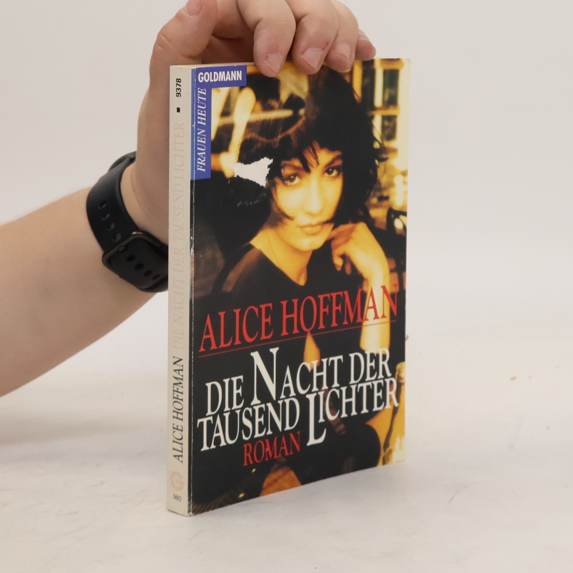 Alice Hoffman Die Nacht der tausend Lichter