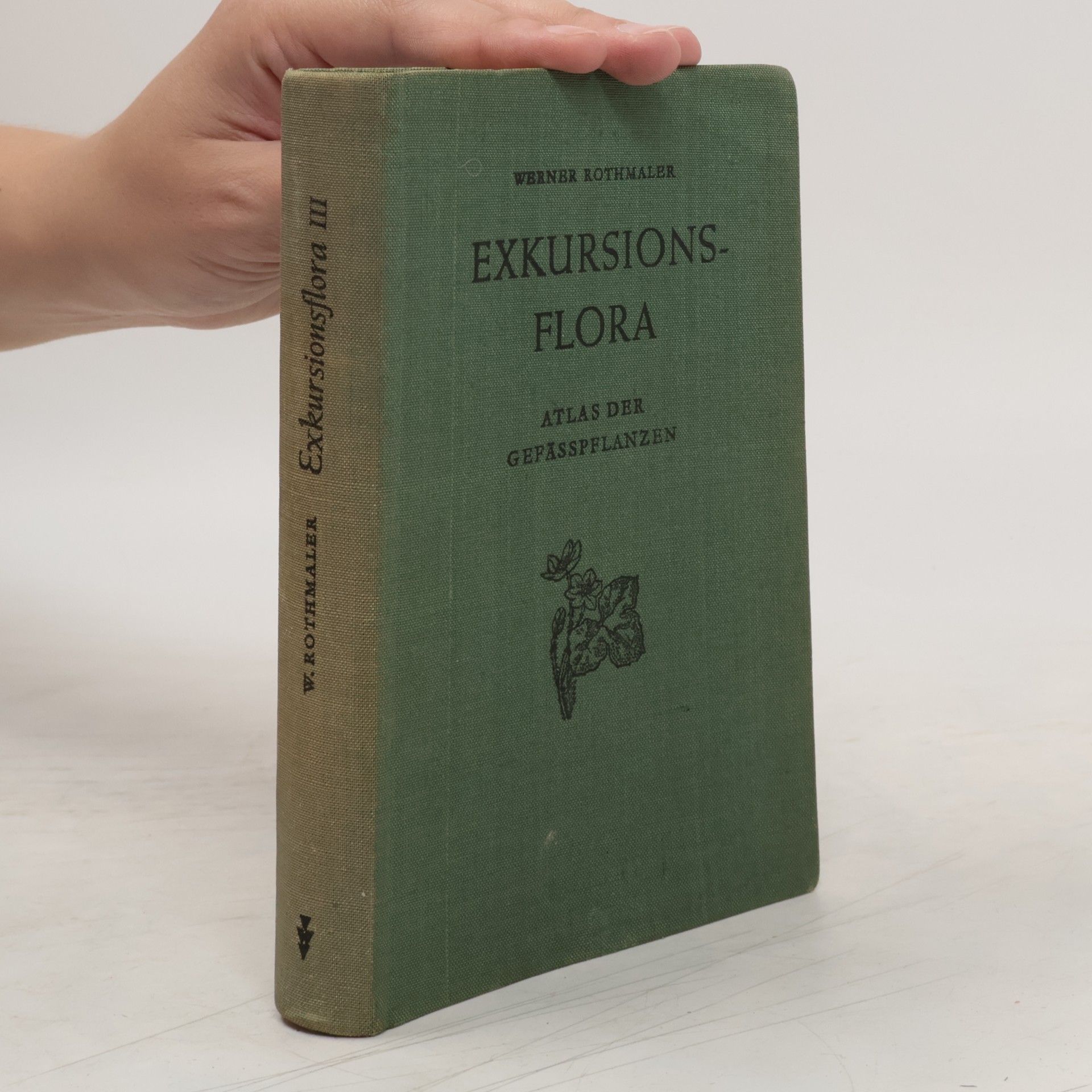 Werner Rothmaler Exkursionsflora III