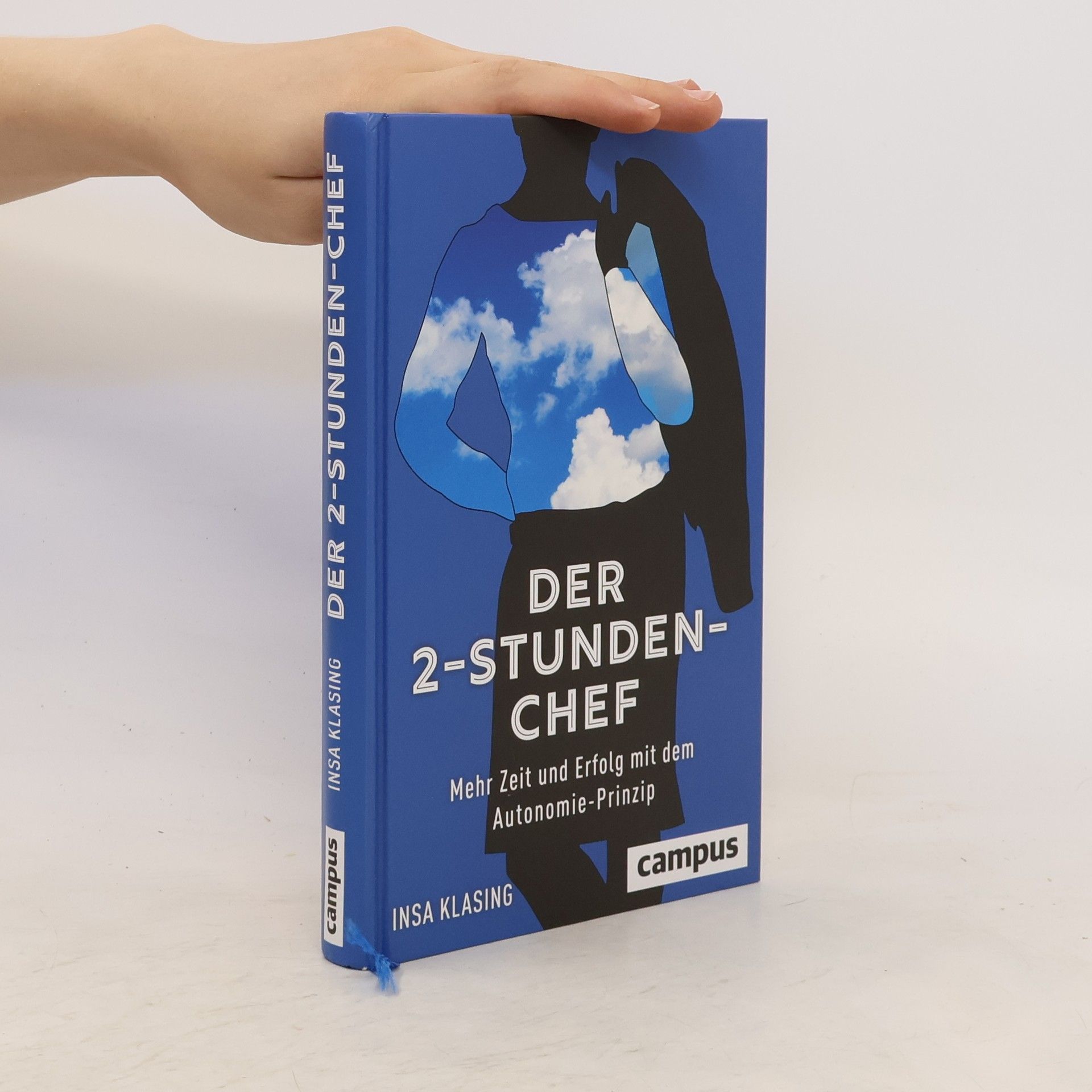 Insa Klasing Der 2-Stunden-Chef