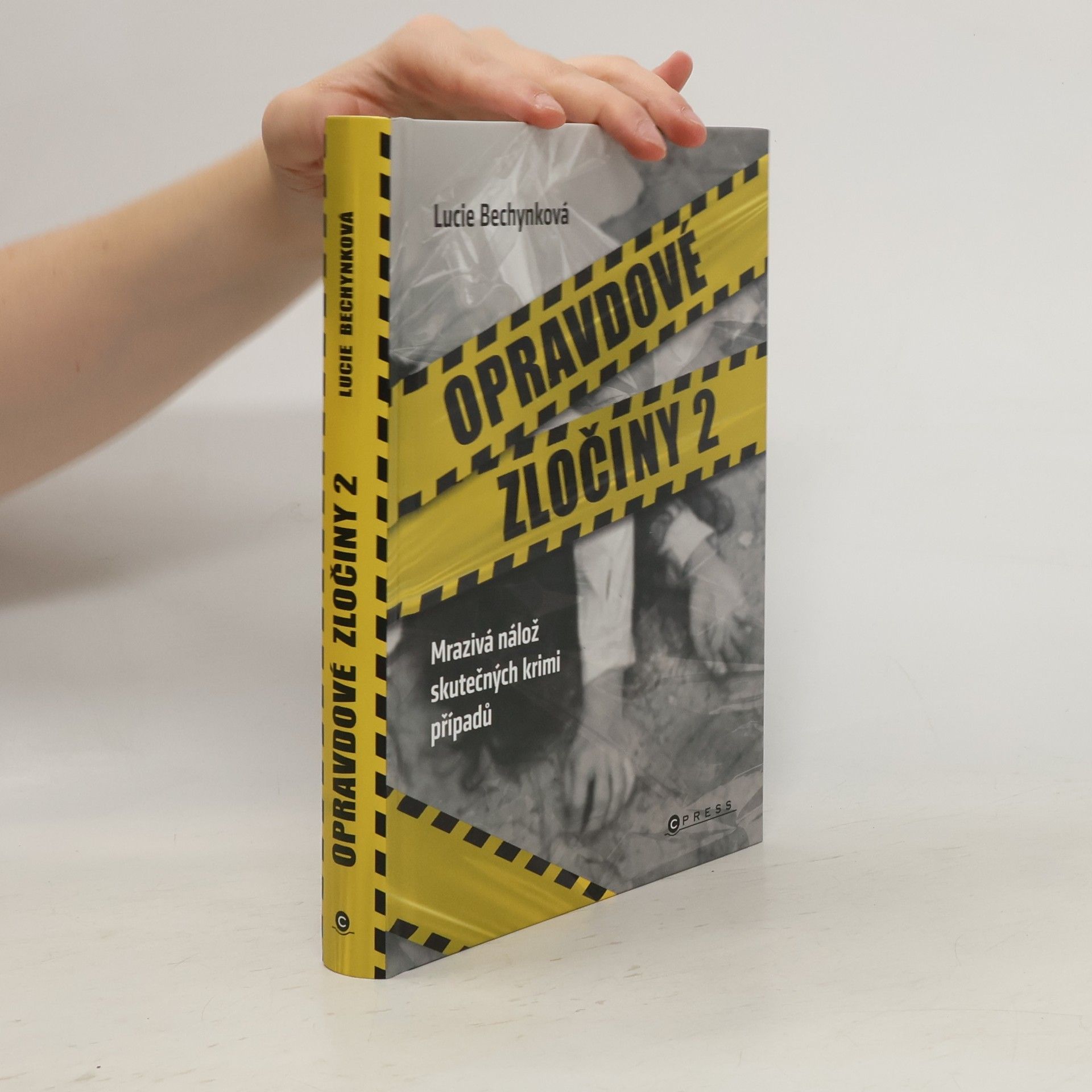 Opravdové zločiny 2