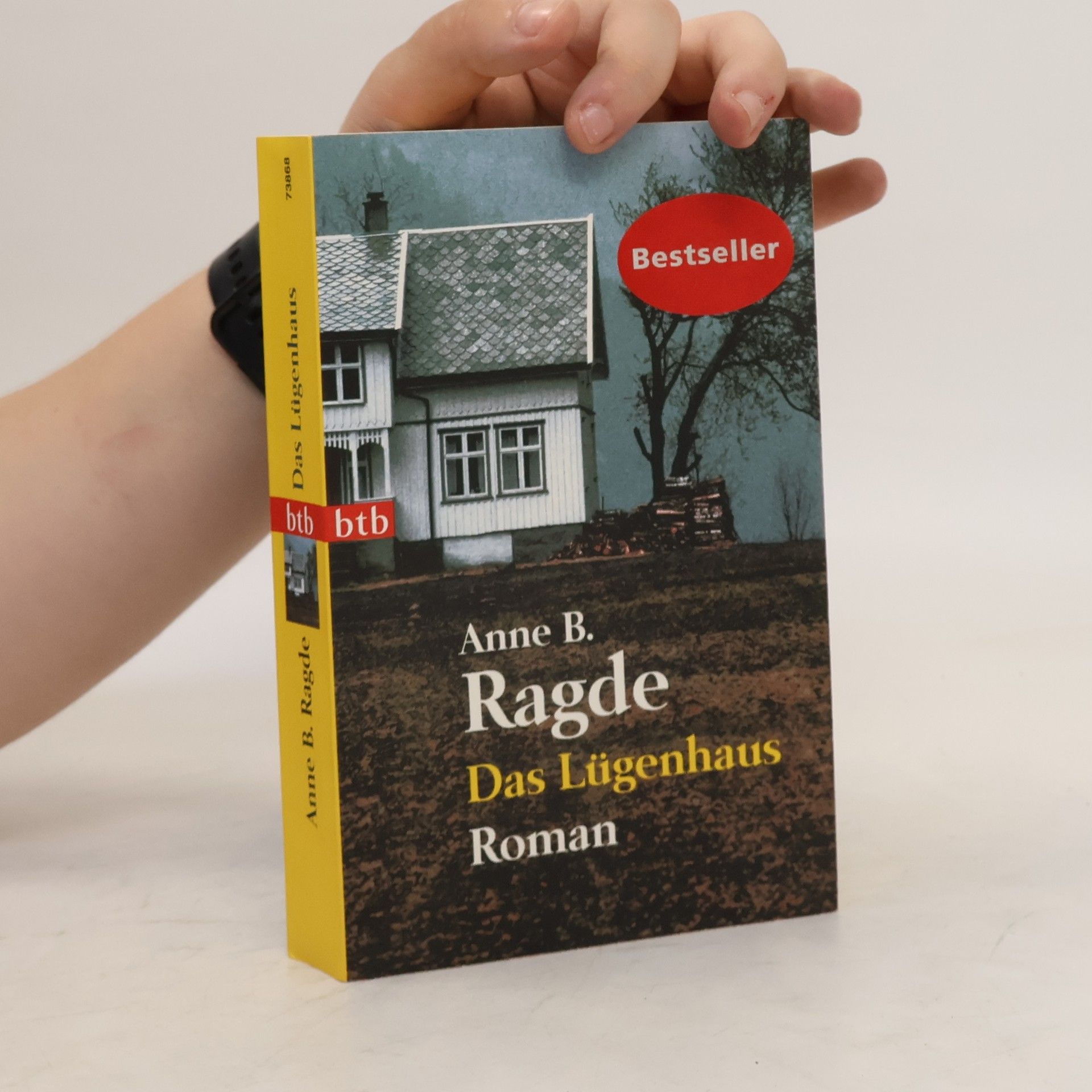 Anne B. Ragde Das Lügenhaus