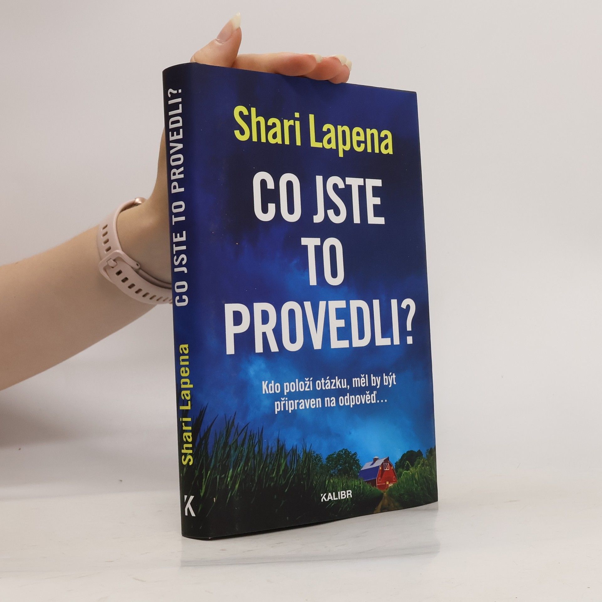 Shari Lapena Co jste to provedli?