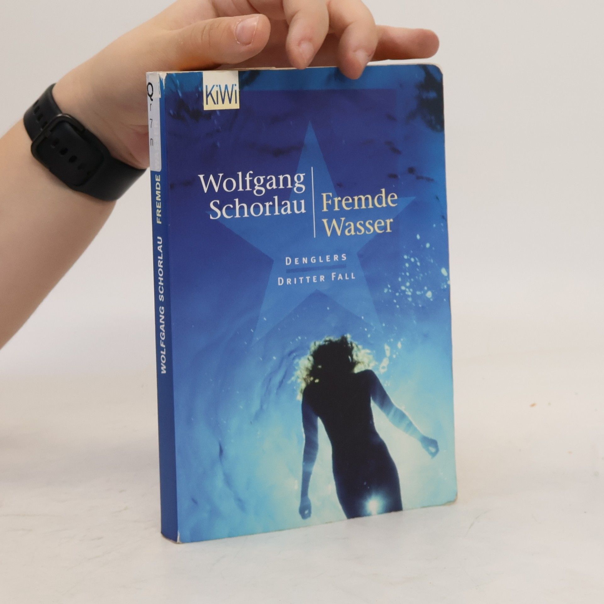 Wolfgang Schorlau Fremde Wasser