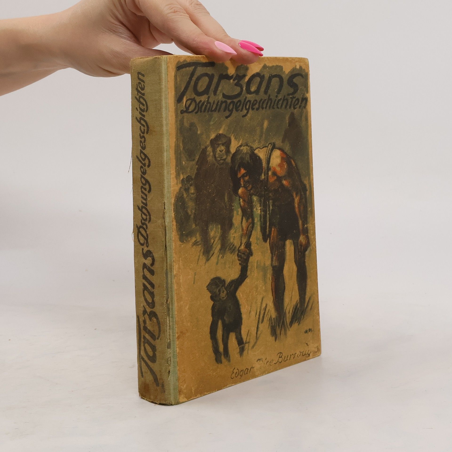 Edgar Rice Burroughs Tarzans Dschungelgeschichten