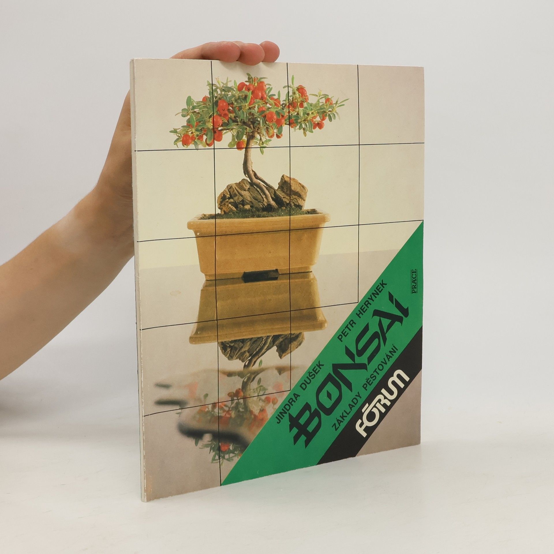 Petr Herynek Bonsai. Základy pěstování