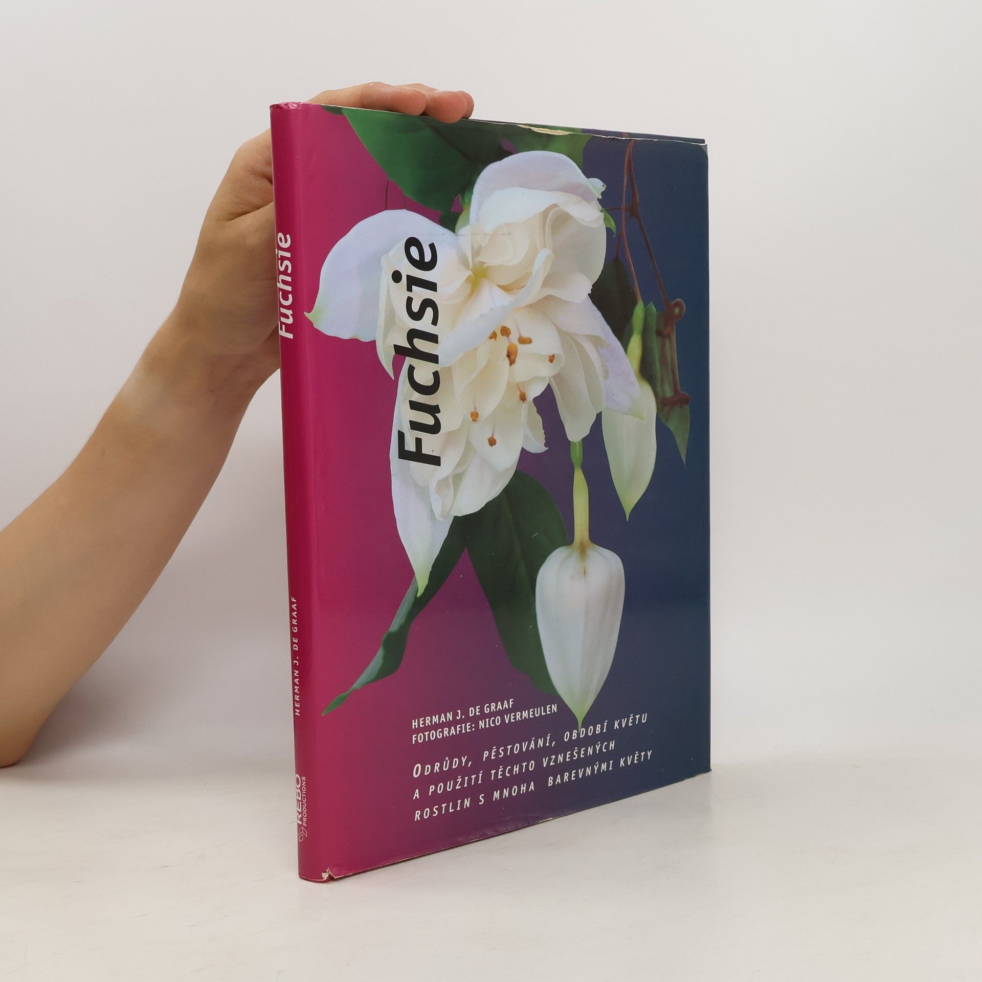Herman J. de Graaff Fuchsie