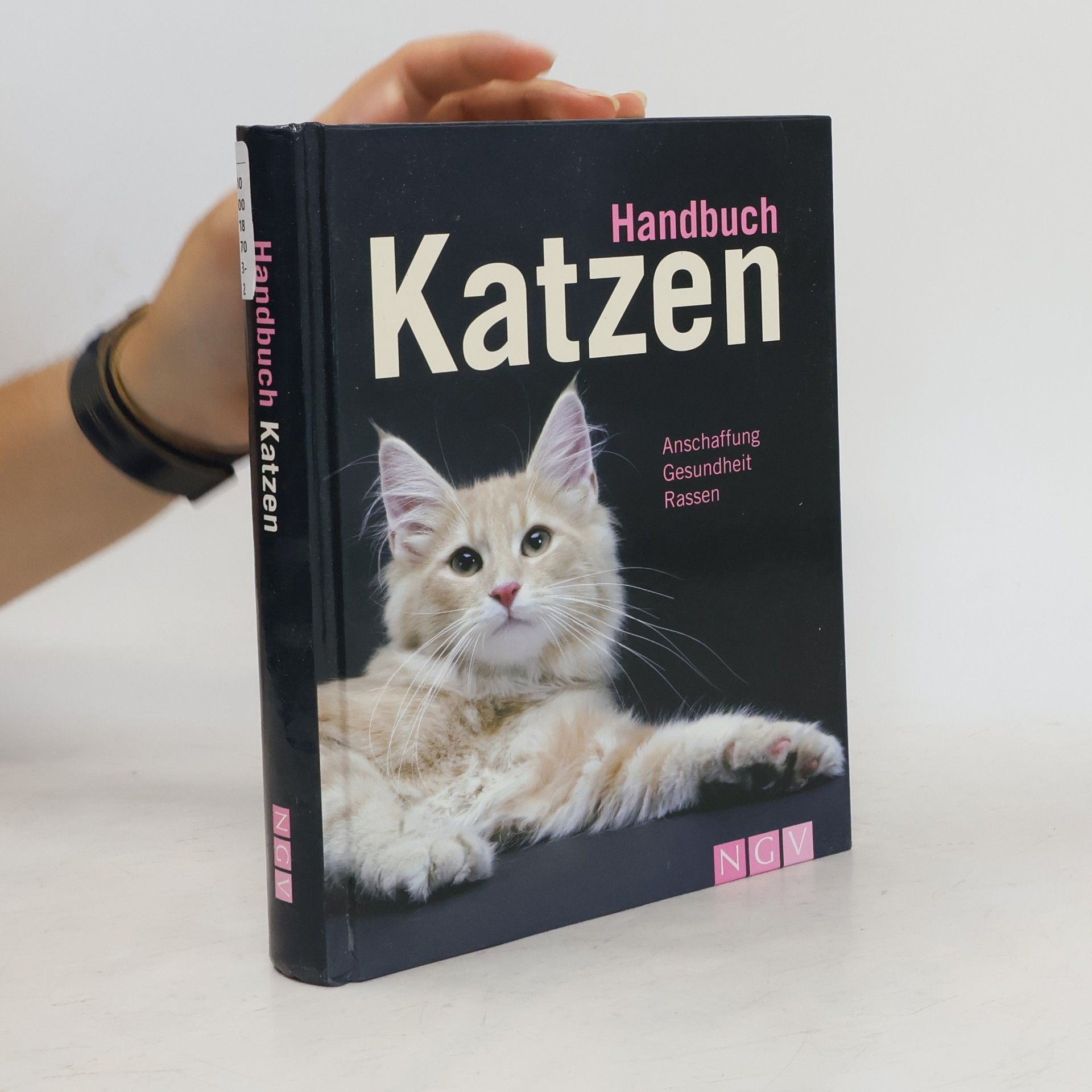 Antje Breuer Handbuch Katzen