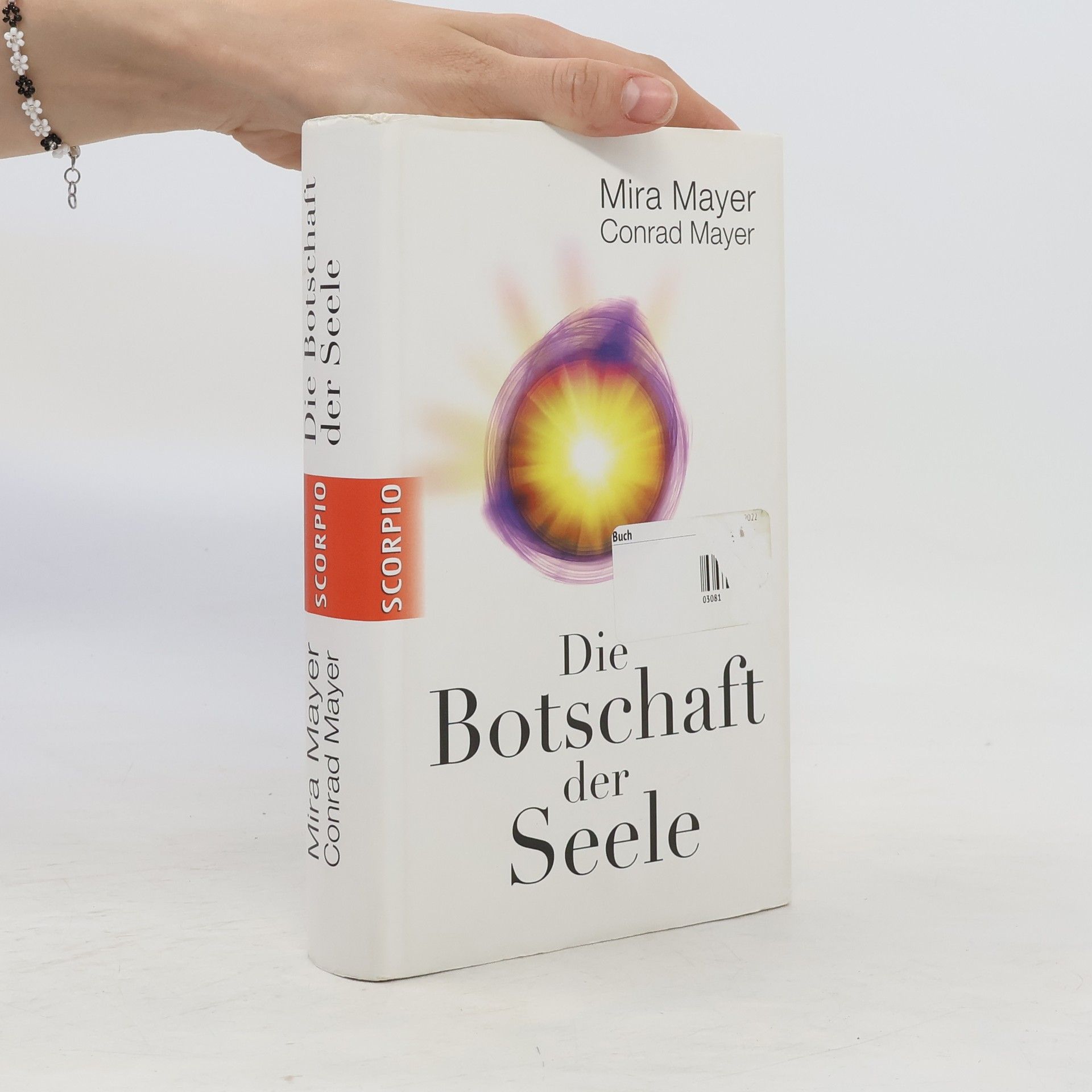 Mira Mayer Die Botschaft der Seele