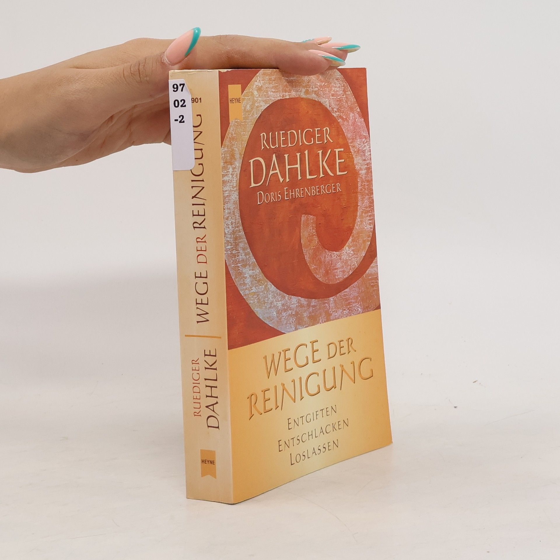 Ruediger Dahlke Wege der Reinigung