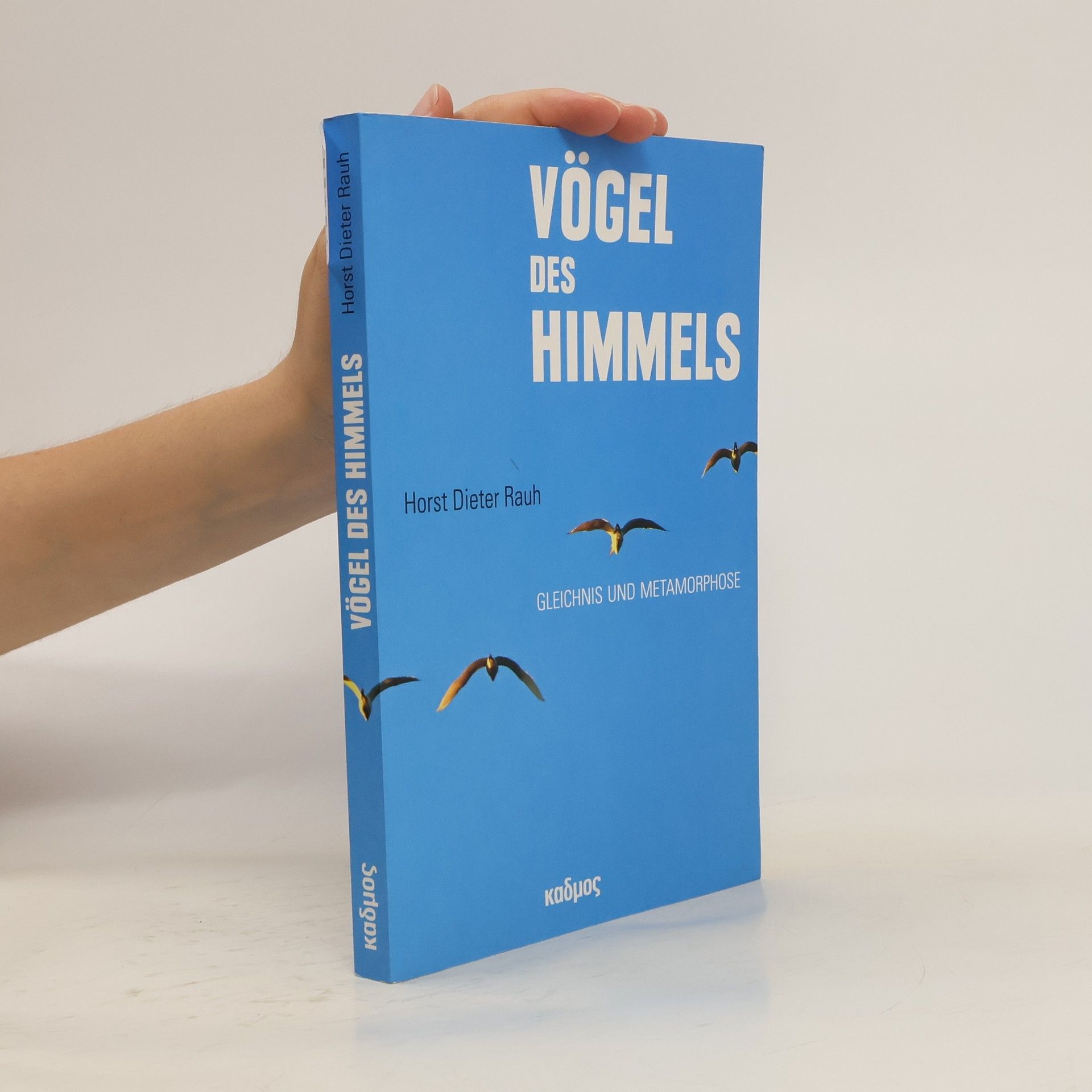 Horst Dieter Rauh Vögel des Himmels