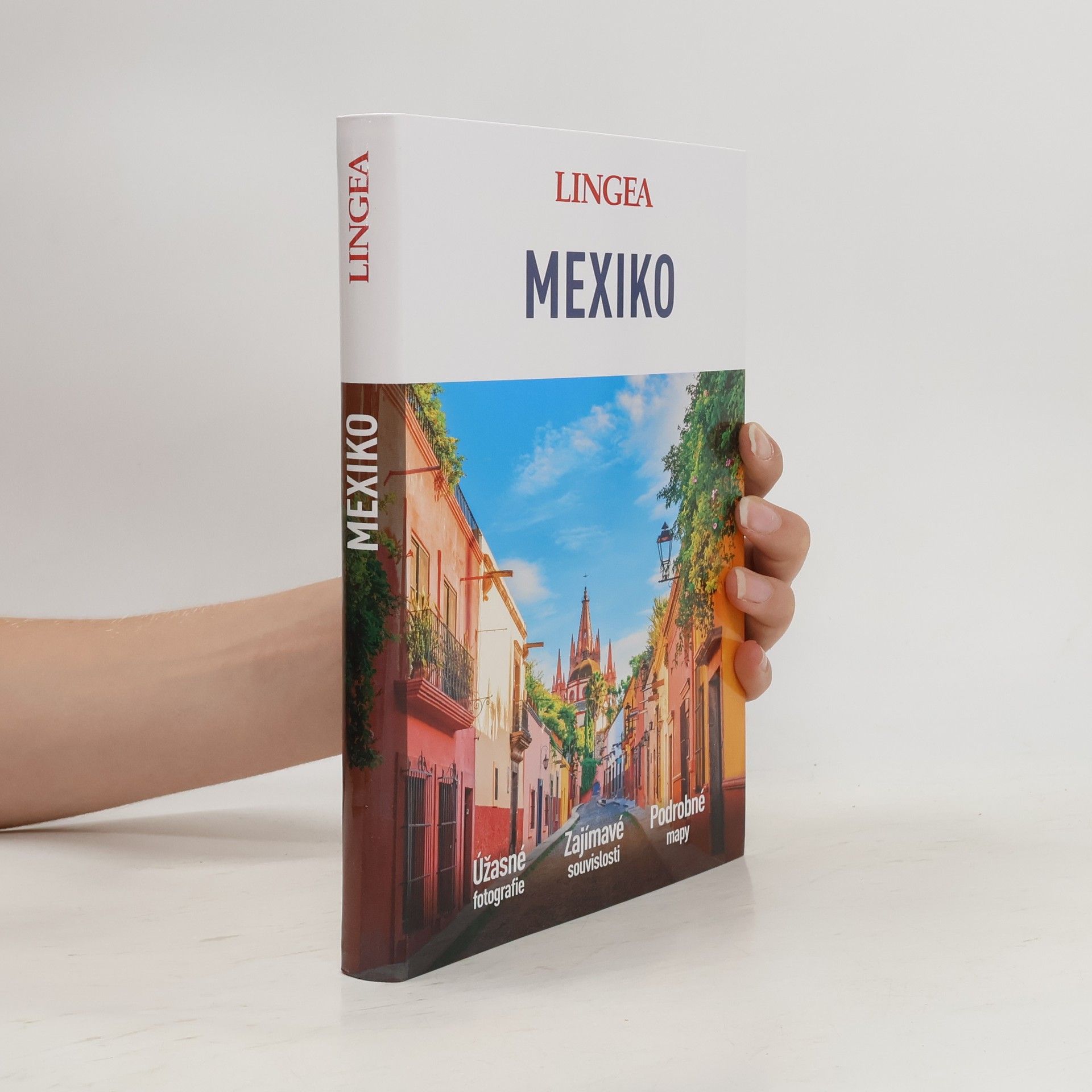 kolektiv Mexico
