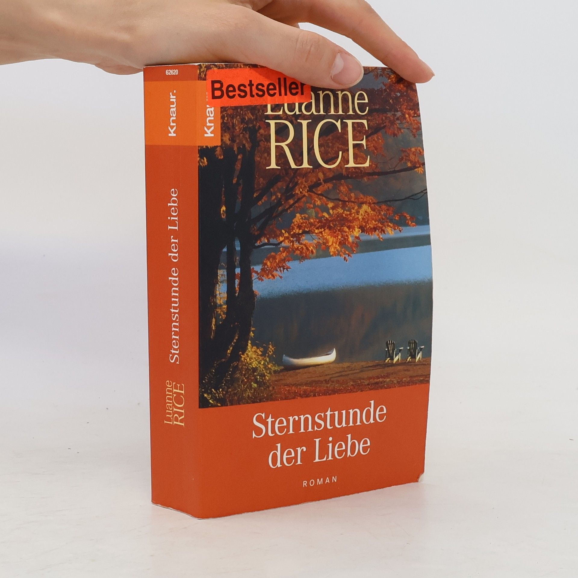 Luanne Rice Sternstunde der Liebe