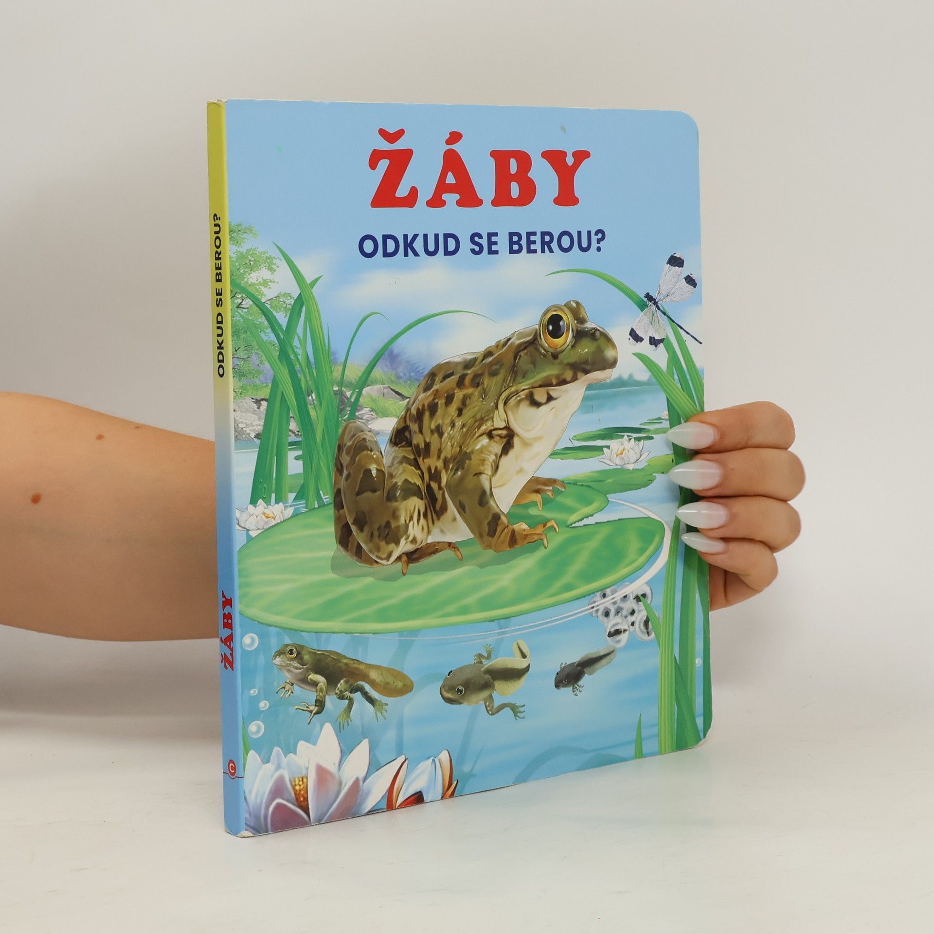 Autorenkollektiv Žáby - Odkud se berou?