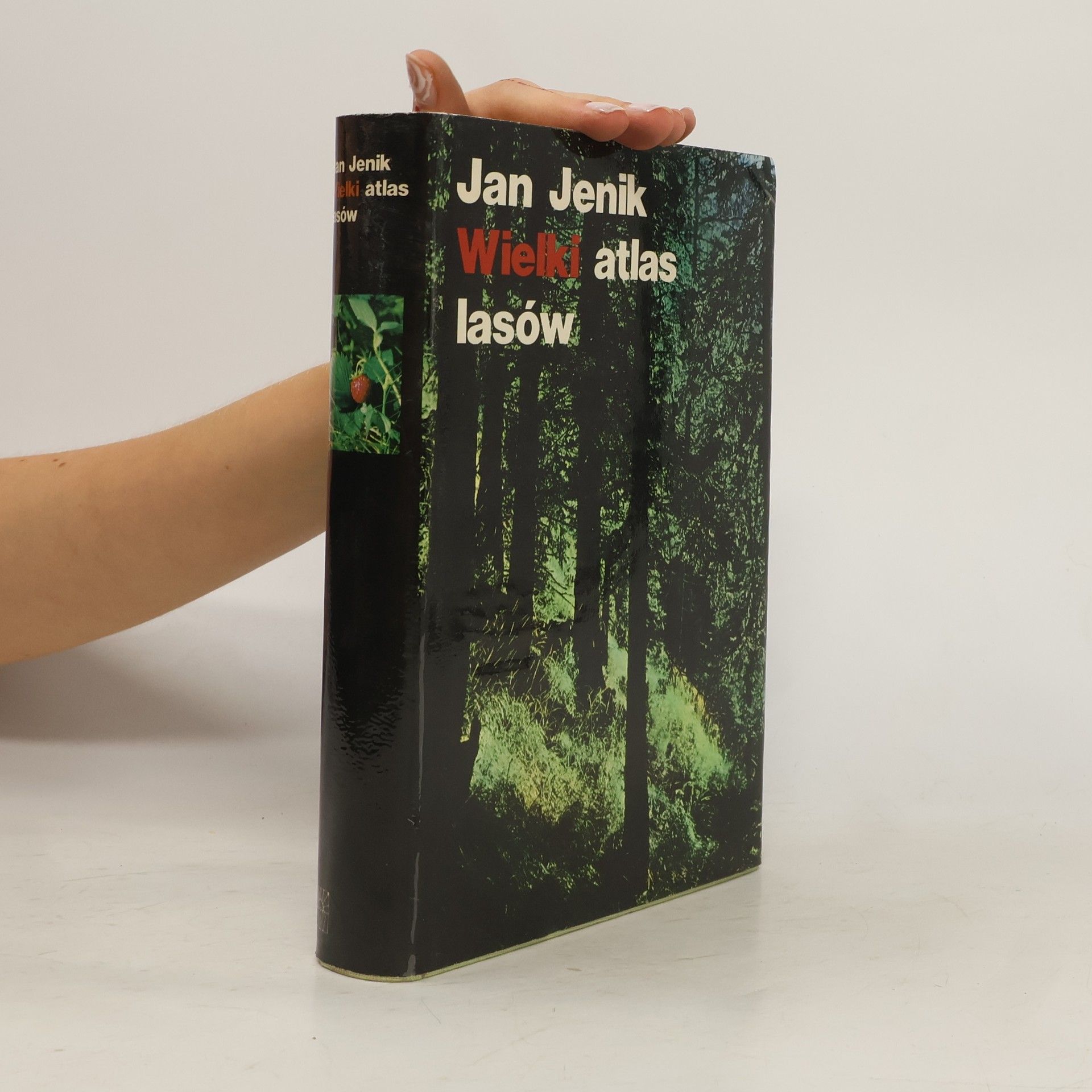 Jan Jeník Wielki atlas lasów