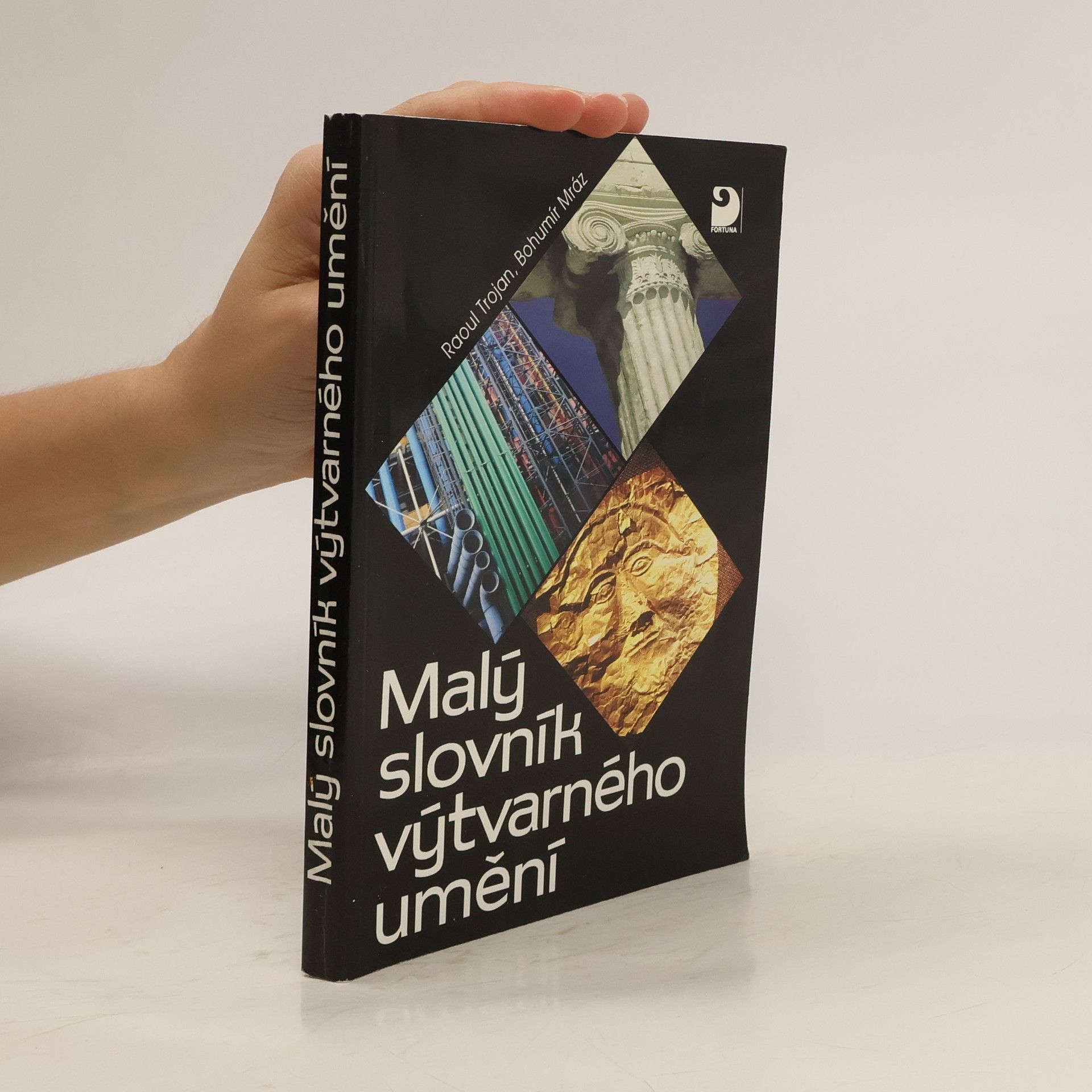 Raul Trojan Malý slovník výtvarného umění