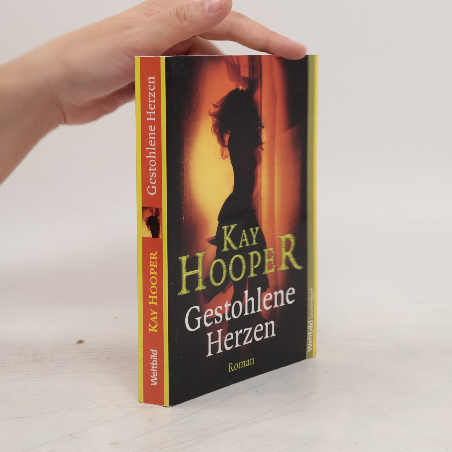 Kay Hooper Gestohlene Herzen