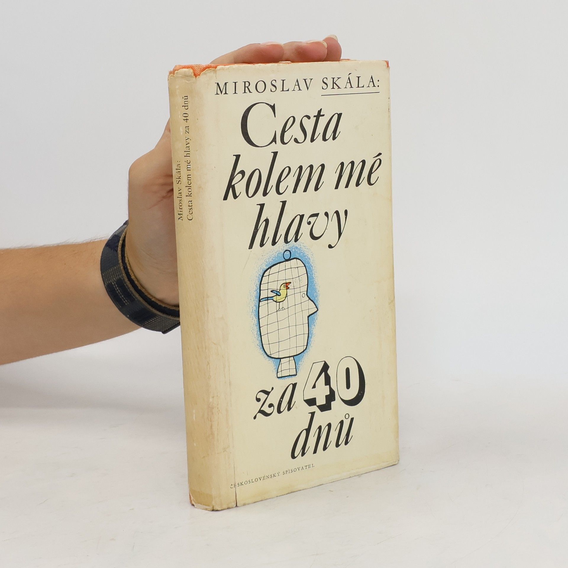 Miroslav Skála Cesta kolem mé hlavy za 40 dnů