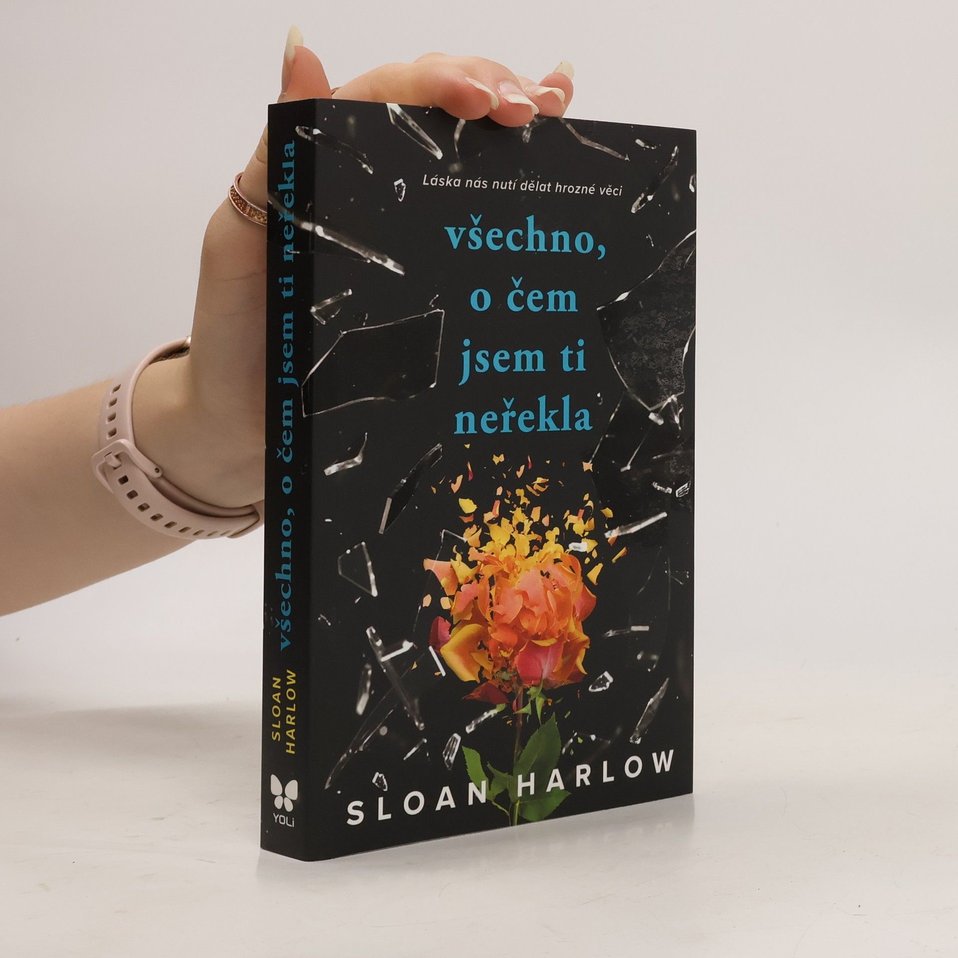 Sloan Harlow Všechno, o čem jsem ti neřekla