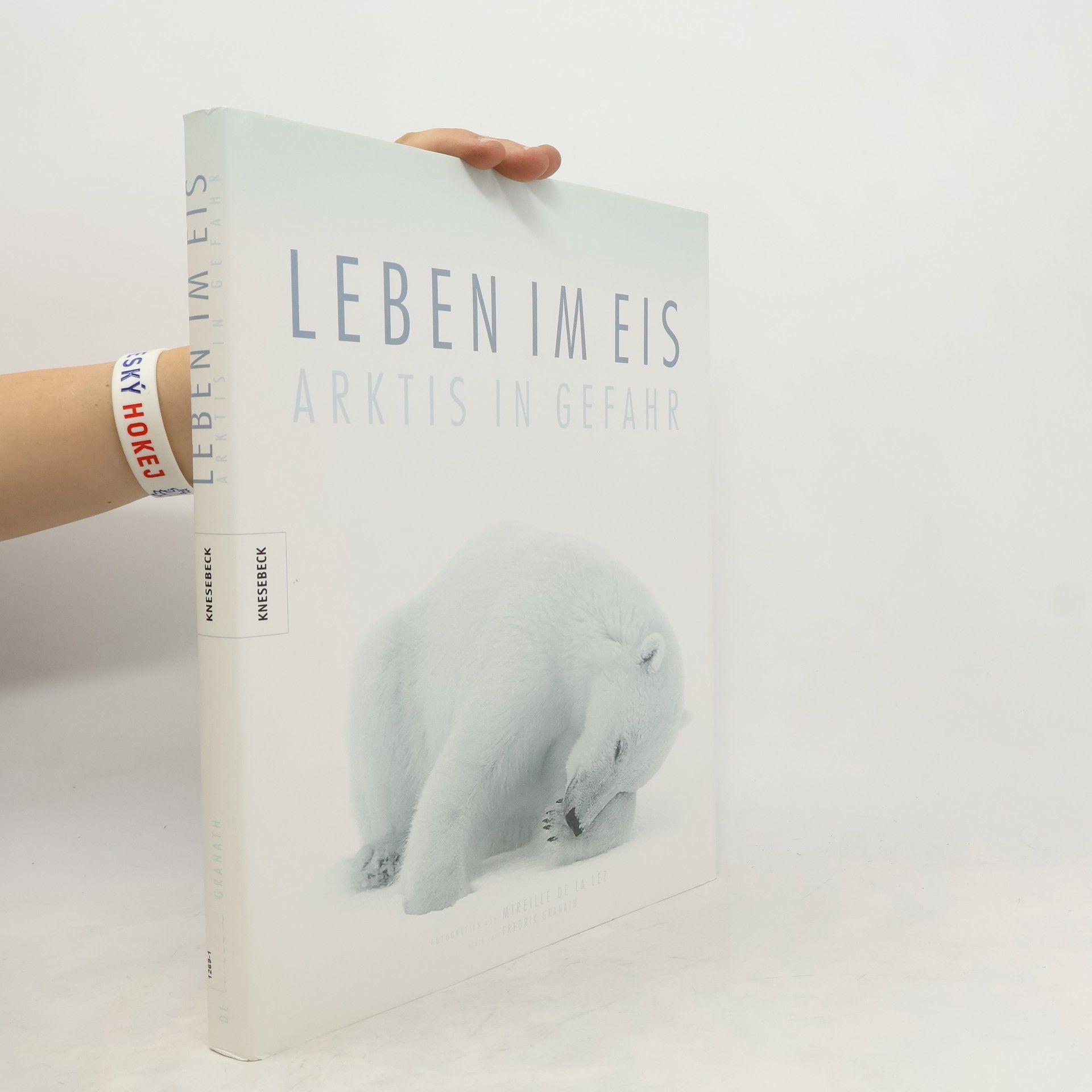 Mireille De la Lez Leben im Eis
