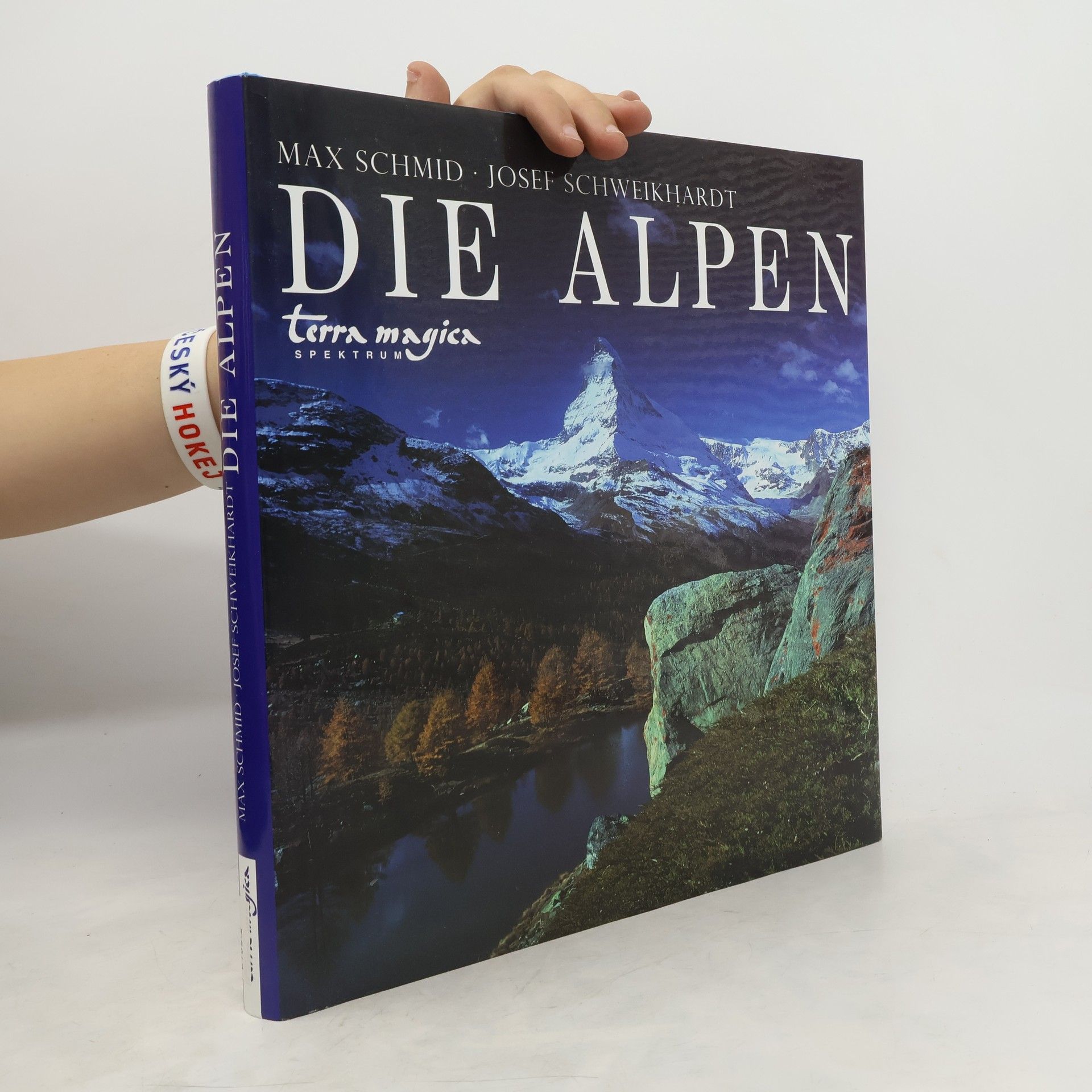 Max Schmid Die Alpen